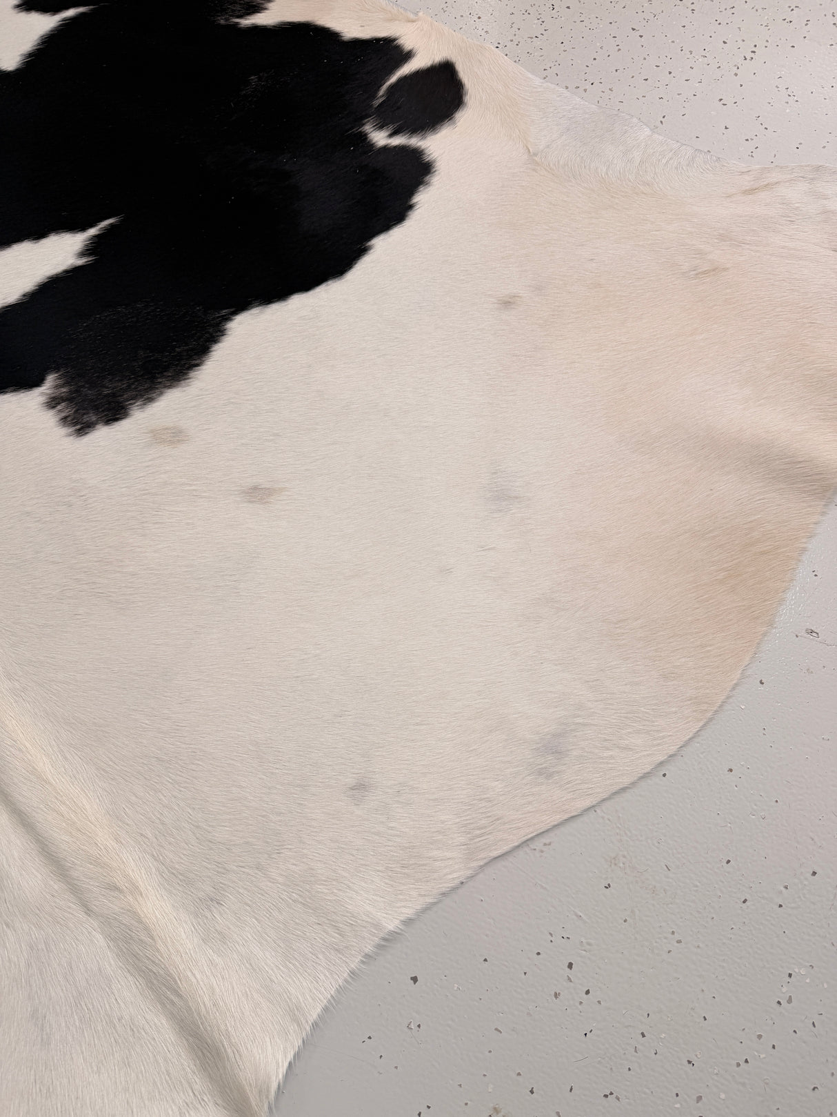 Genuine Cowhide Floor Rug 1175