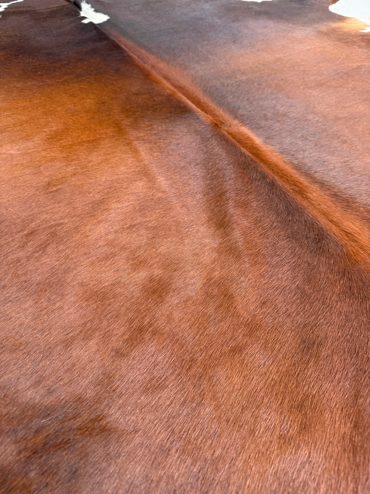 Genuine Cowhide Floor Rug 928