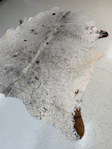 Genuine Cowhide Floor Rug 1077