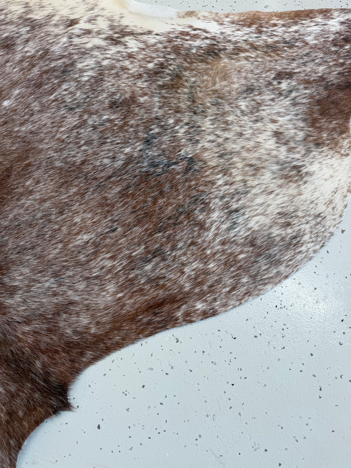 Genuine Cowhide Floor Rug 1078