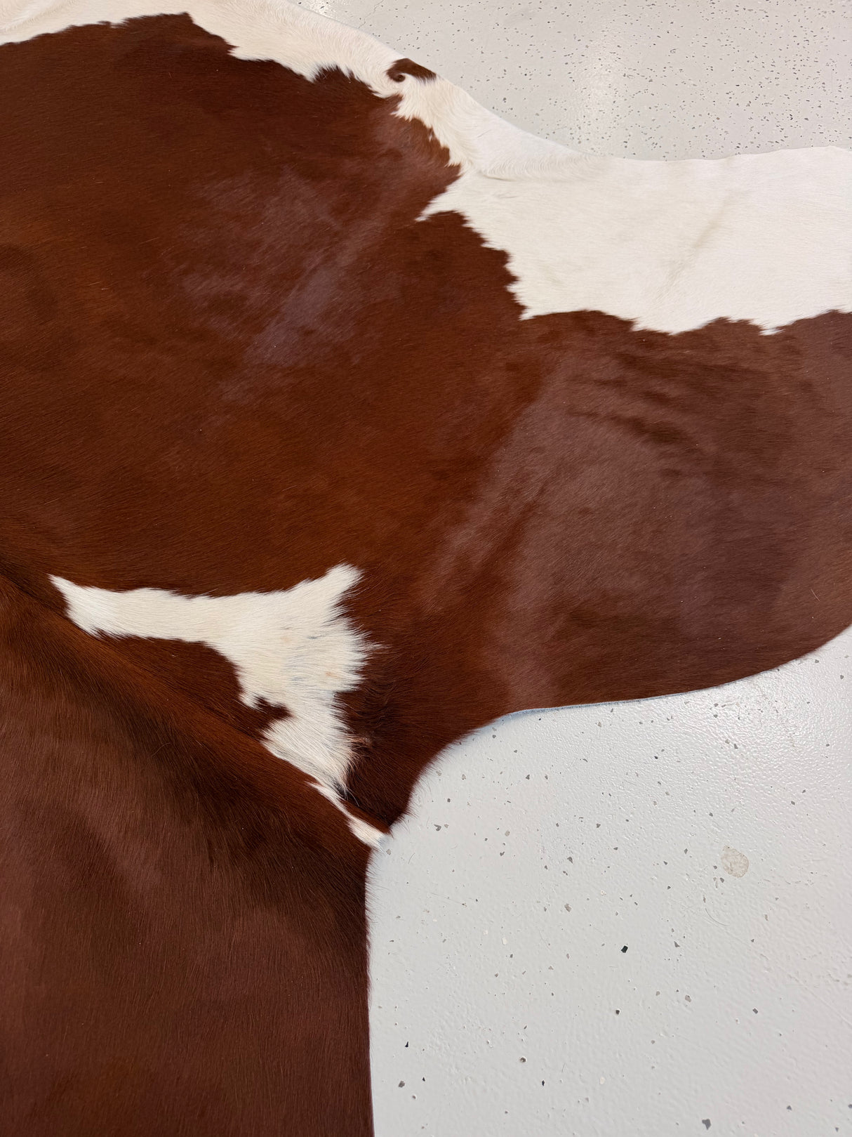 Genuine Cowhide Floor Rug 1084