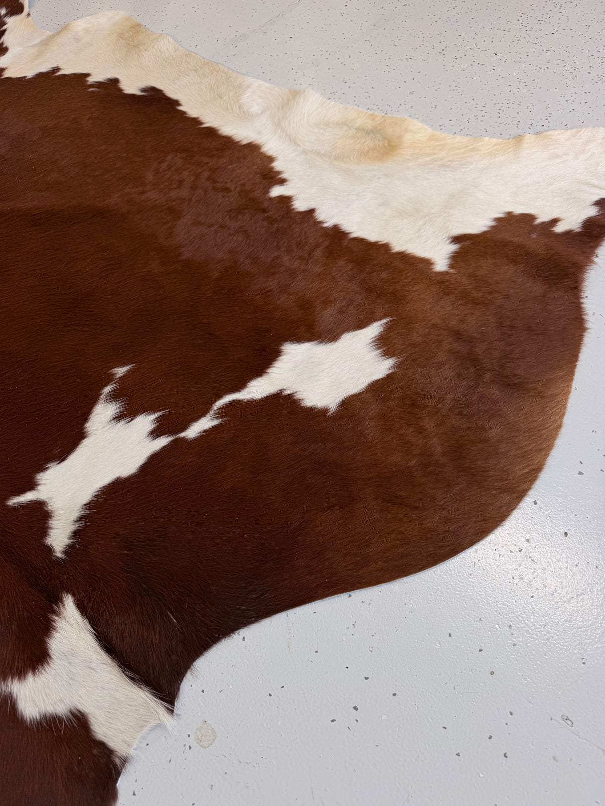 Genuine Cowhide Floor Rug 1090