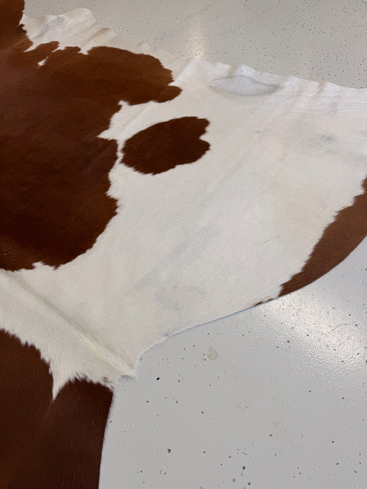 Genuine Cowhide Floor Rug 1091