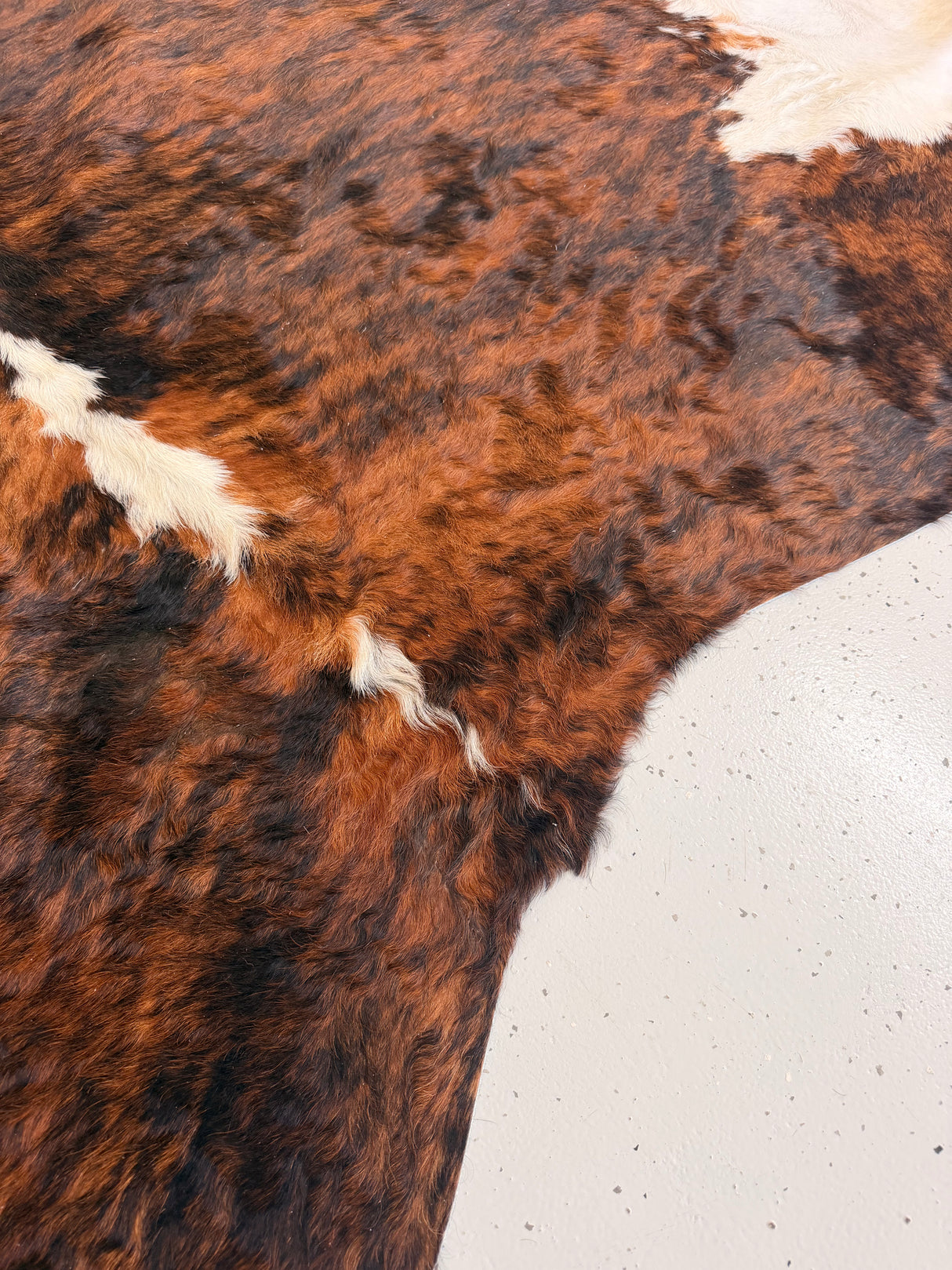 Genuine Cowhide Floor Rug 1108