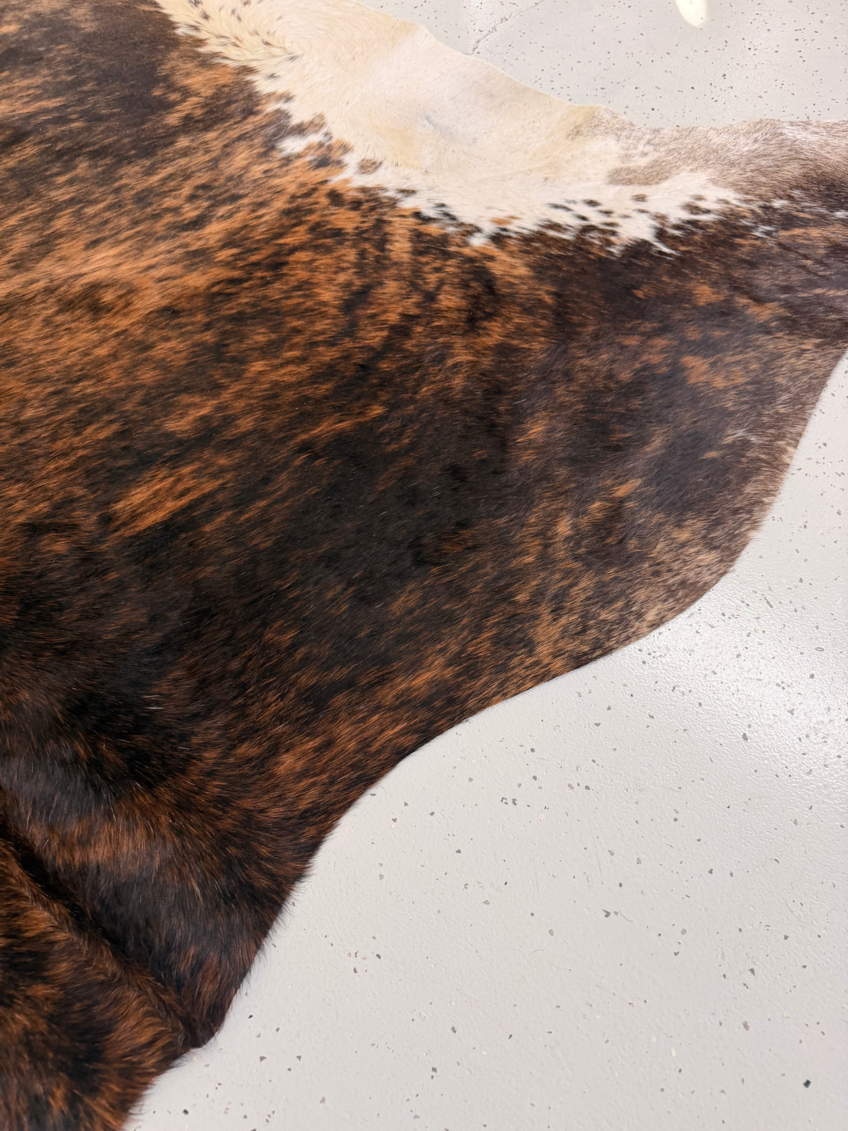 Genuine Cowhide Floor Rug 1109