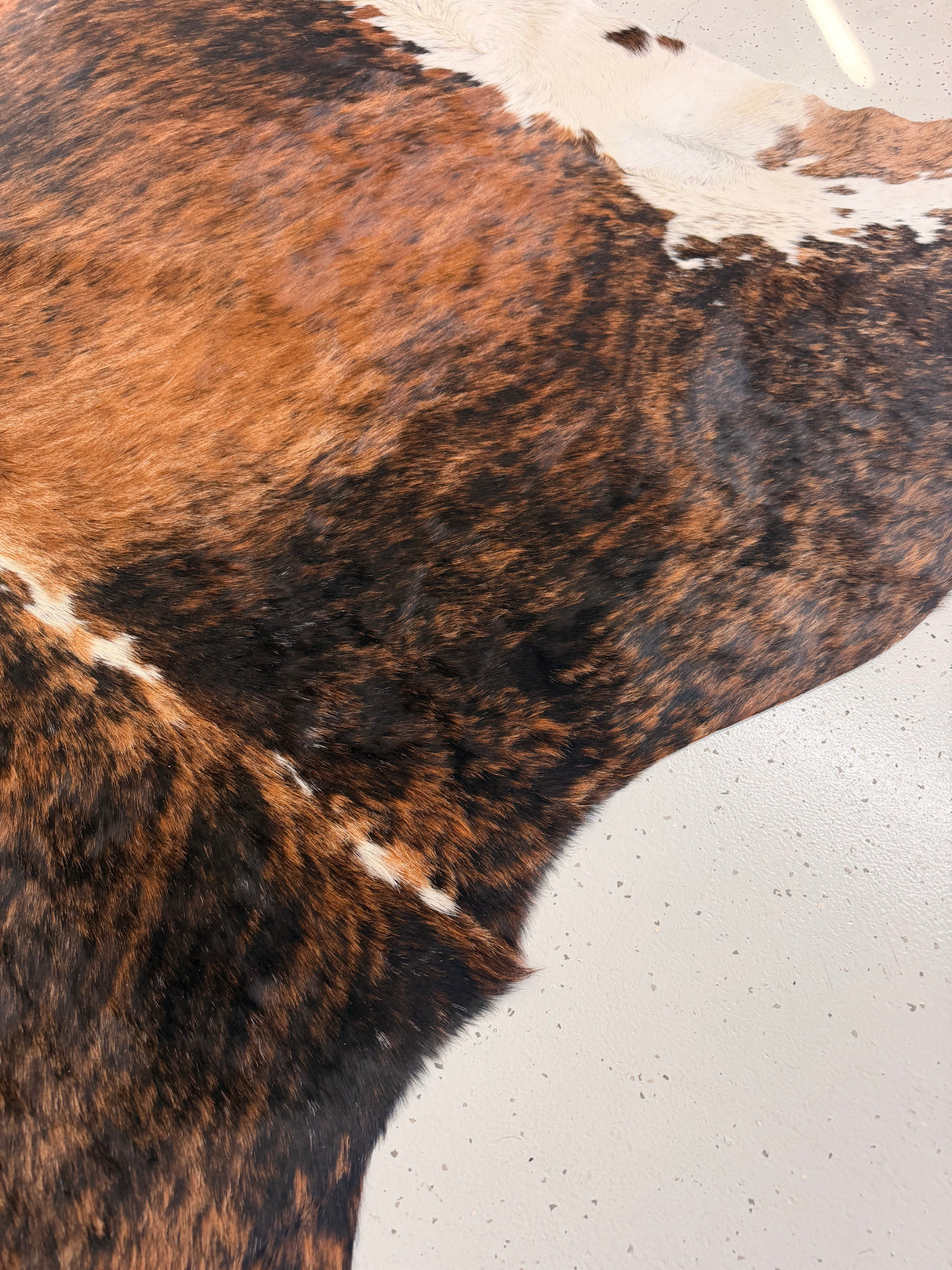 Genuine Cowhide Floor Rug 1110