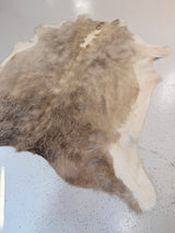 Genuine Cowhide Floor Rug 1229