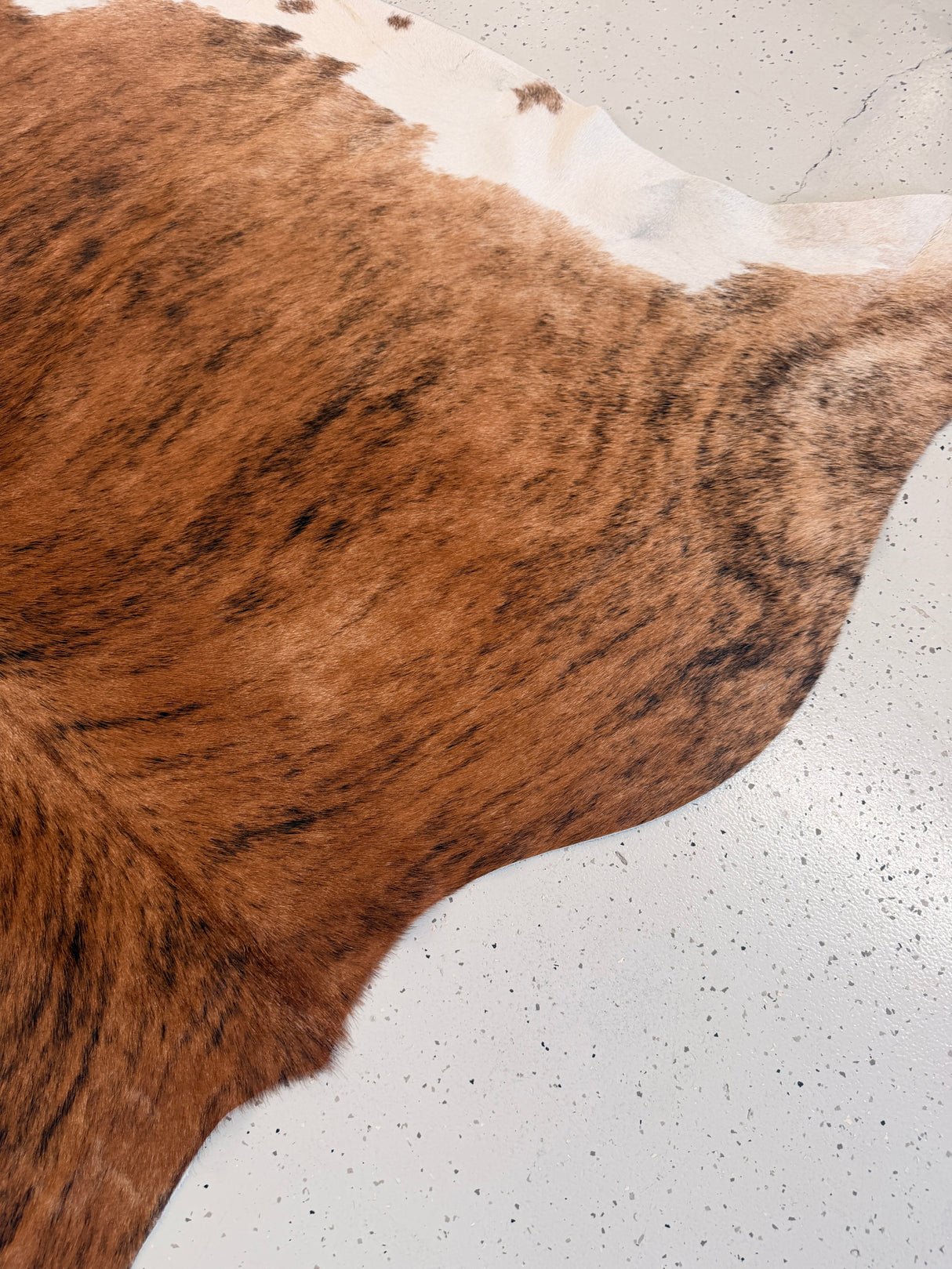 Genuine Cowhide Floor Rug 1230
