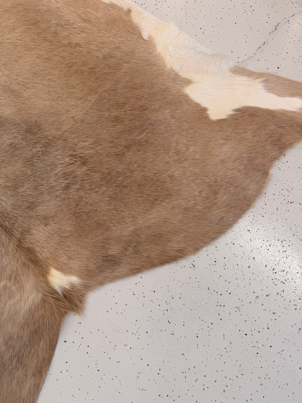 Genuine Cowhide Floor Rug 1232