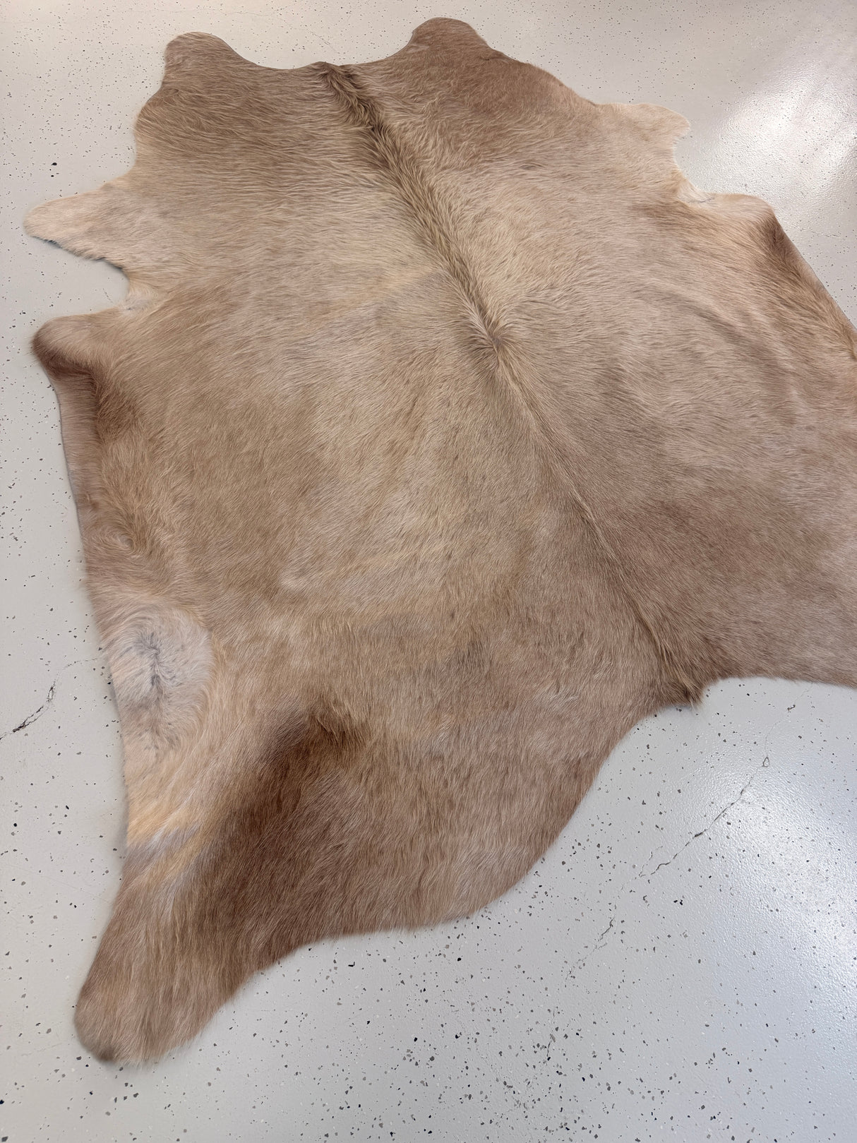 Genuine Cowhide Floor Rug 1233
