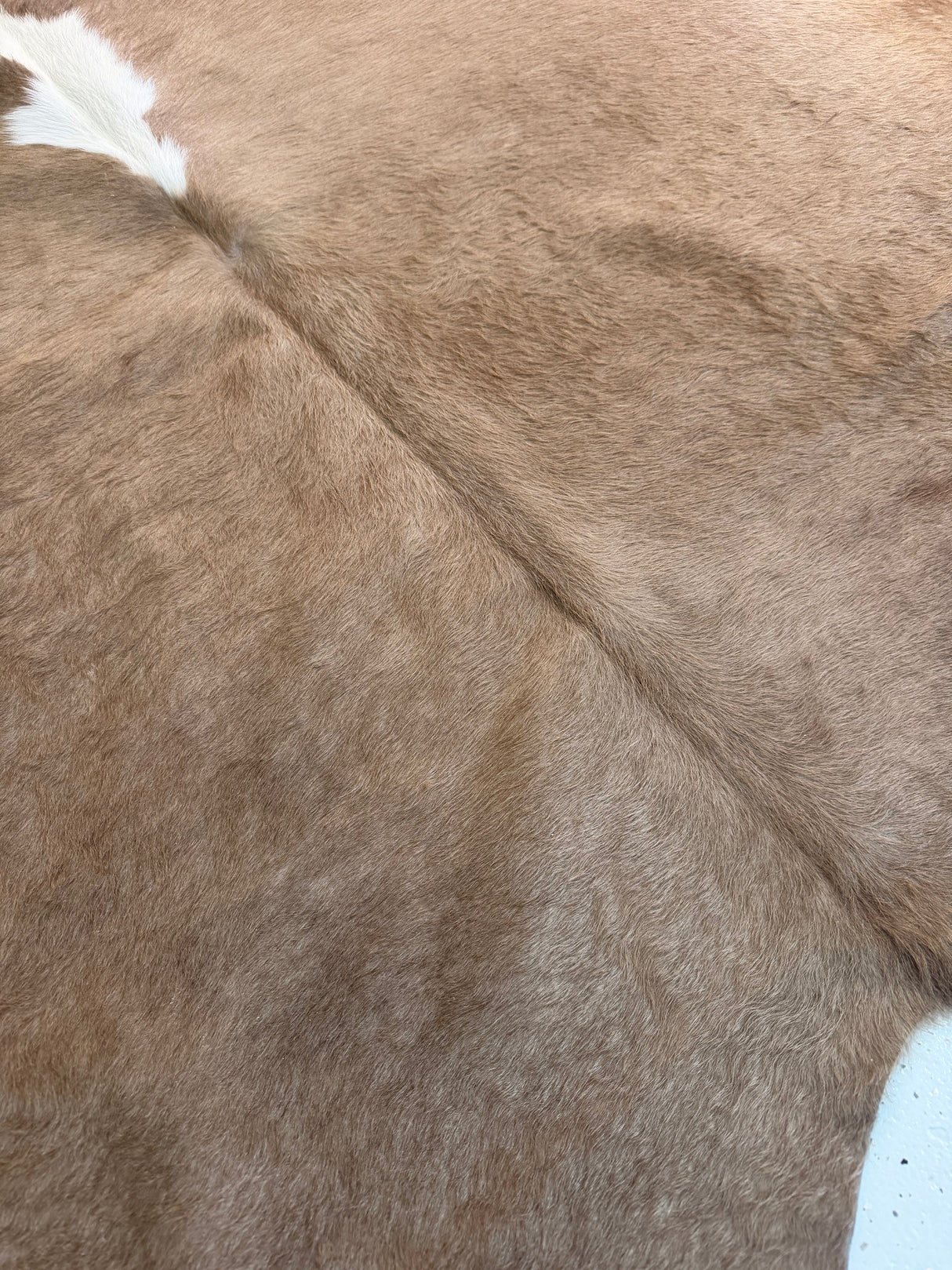 Genuine Cowhide Floor Rug 1183