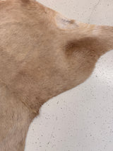 Genuine Cowhide Floor Rug 1233
