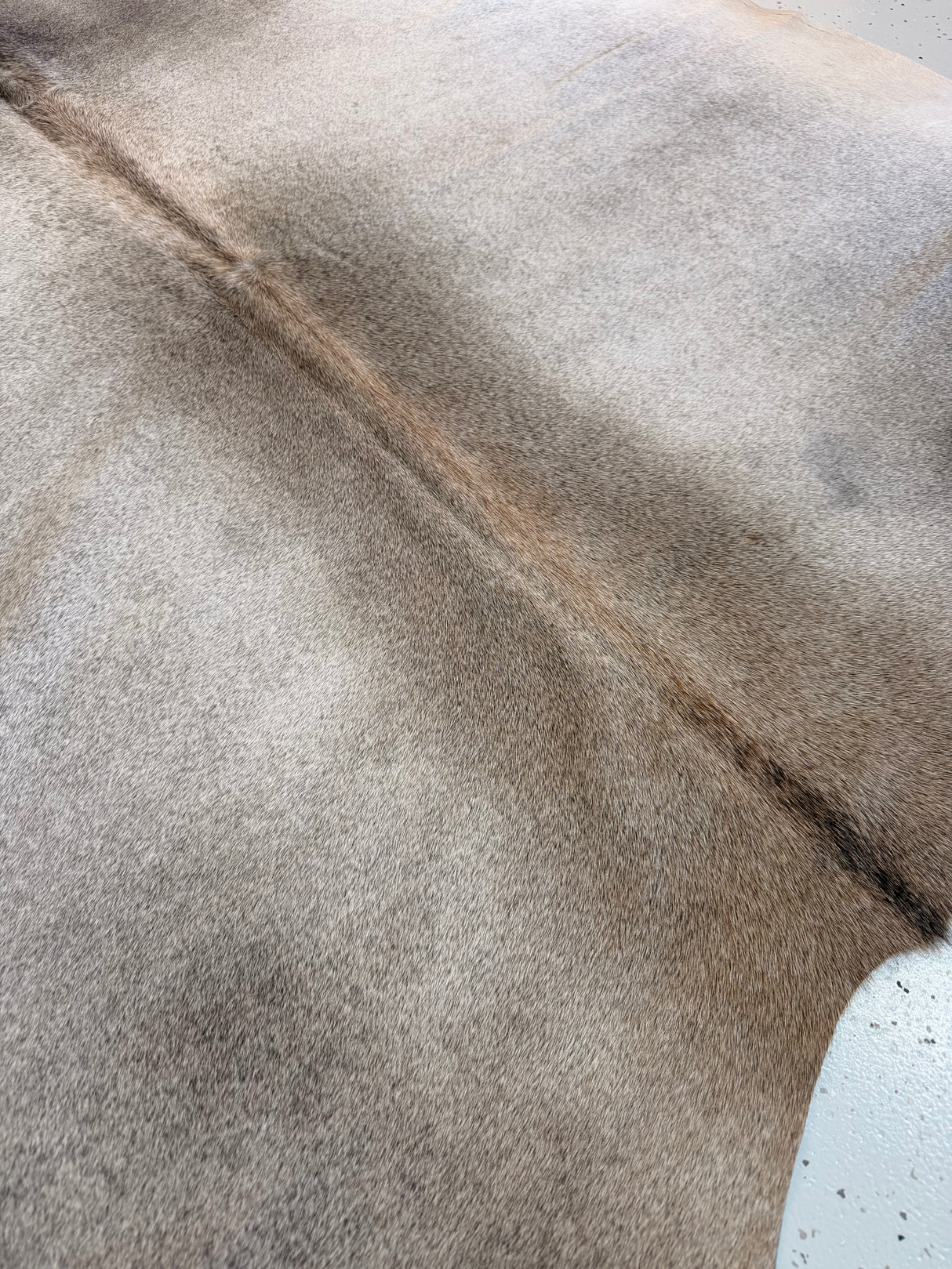 Genuine Cowhide Floor Rug 1184
