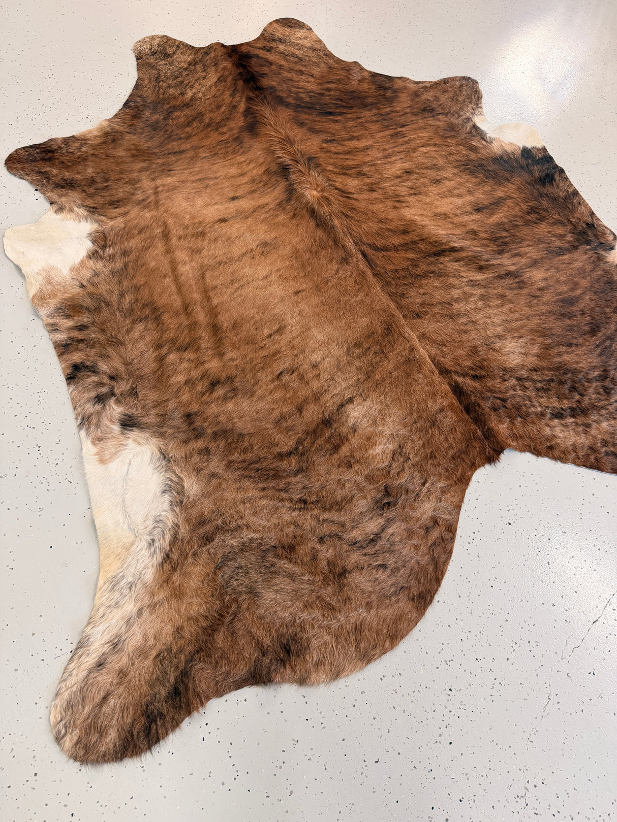 Genuine Cowhide Floor Rug 1235