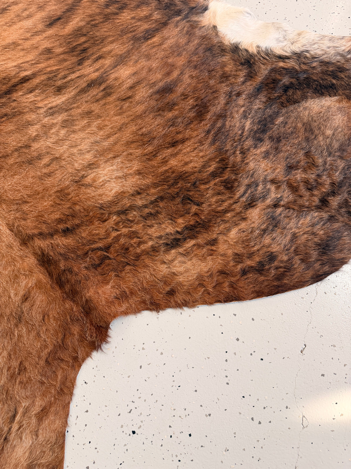 Genuine Cowhide Floor Rug 1235