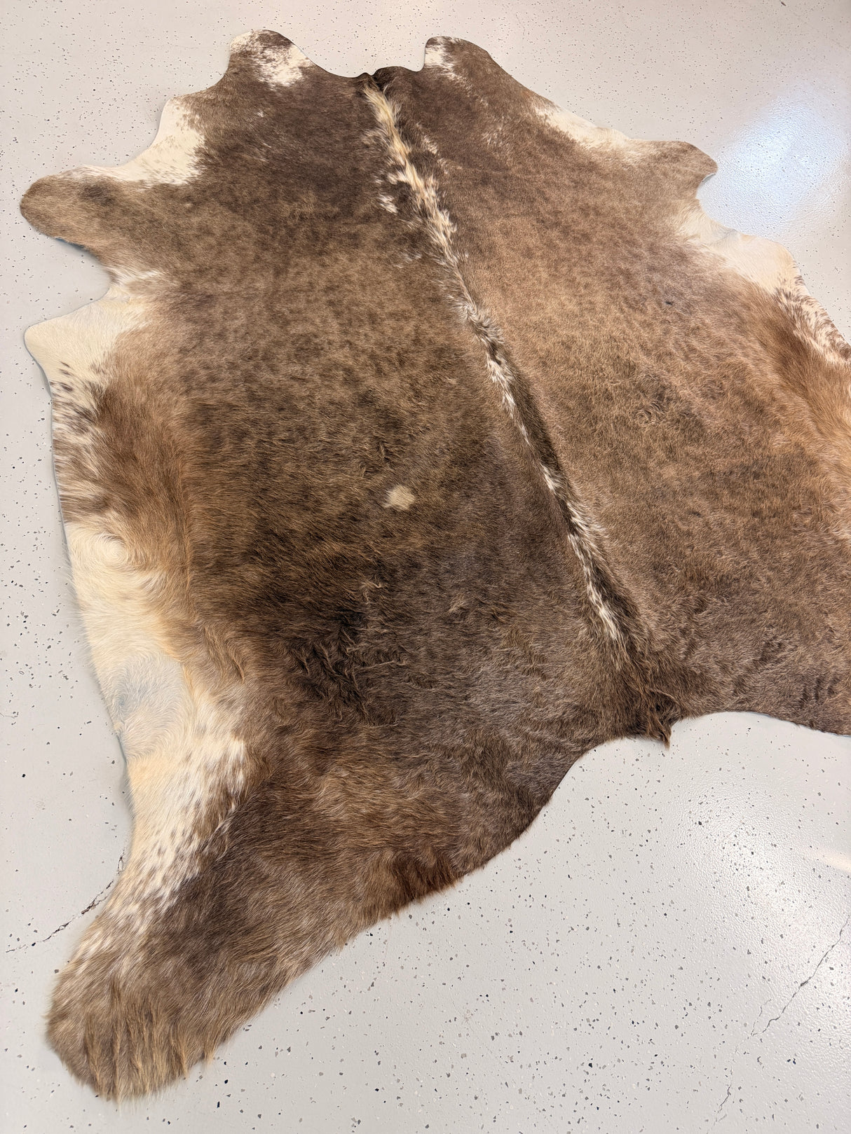Genuine Cowhide Floor Rug 1236