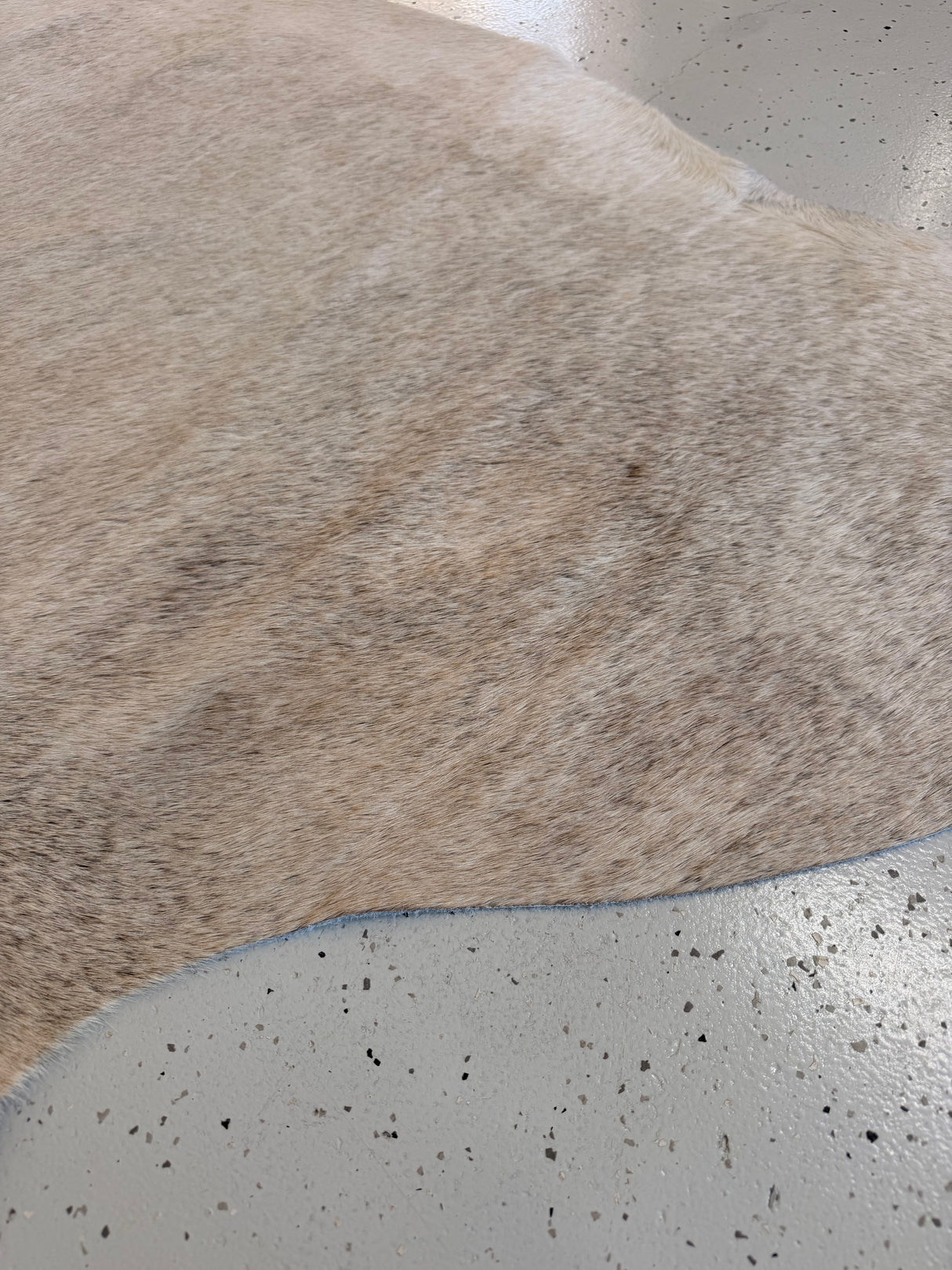 Genuine Cowhide Floor Rug 1186