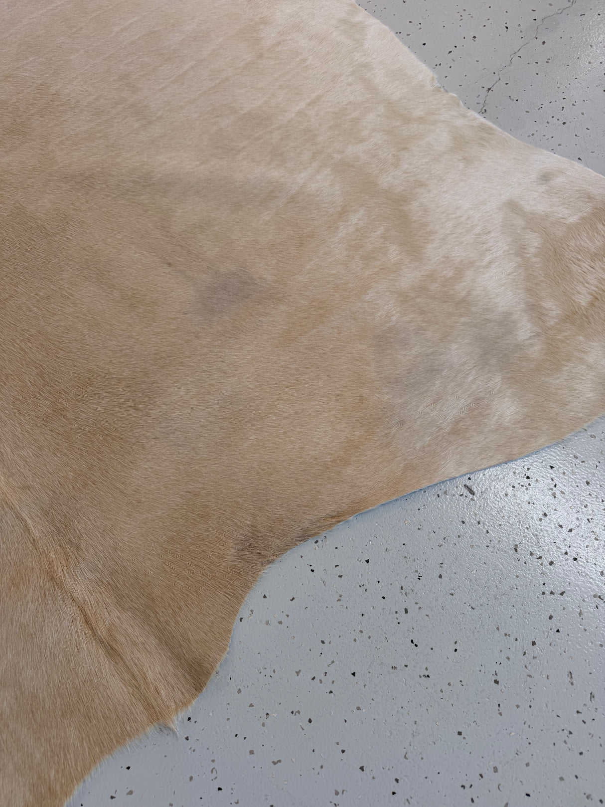 Genuine Cowhide Floor Rug 1187