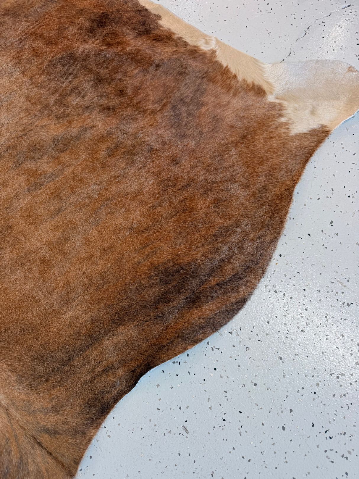 Genuine Cowhide Floor Rug 1188