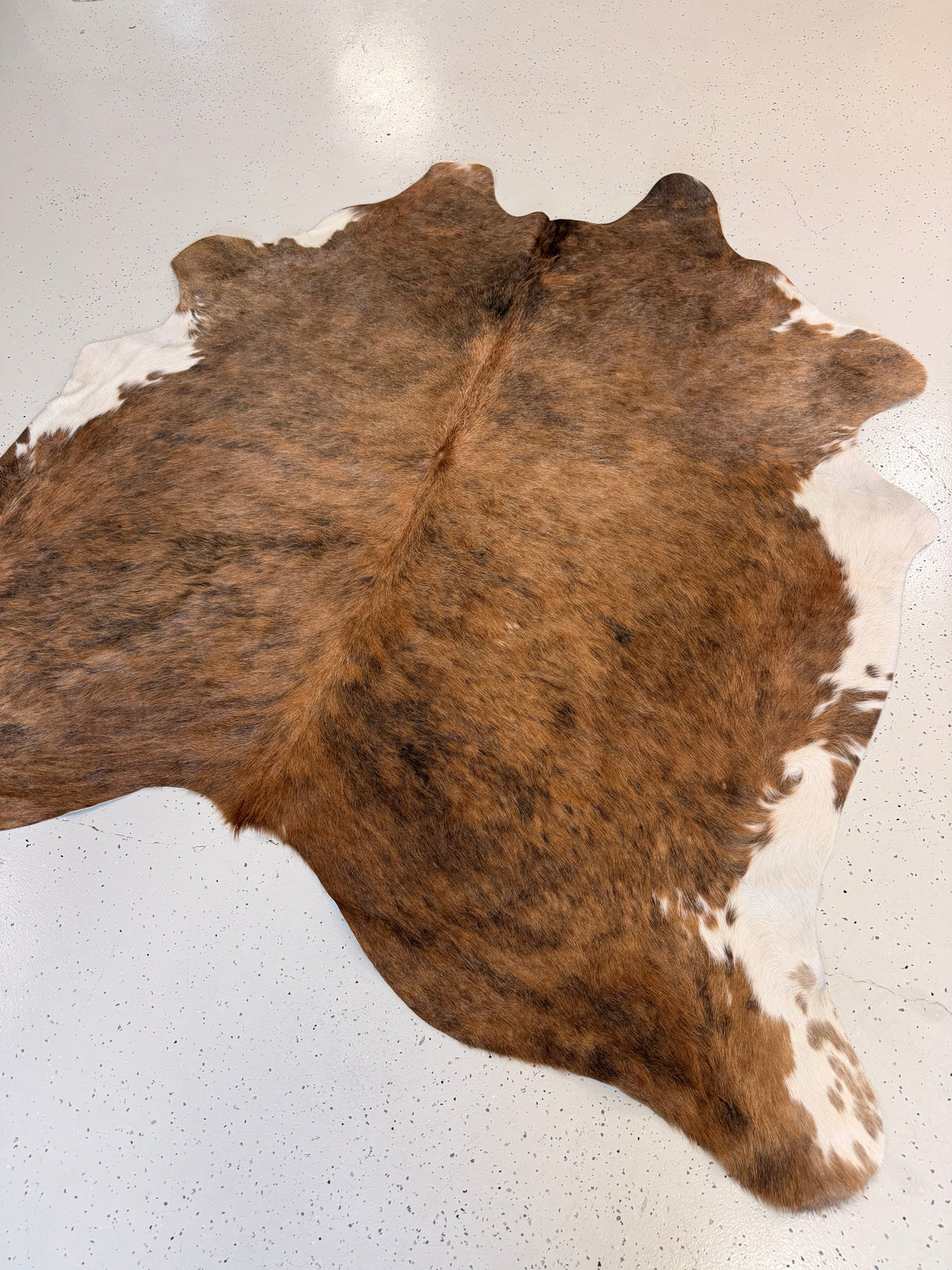 Genuine Cowhide Floor Rug 1189