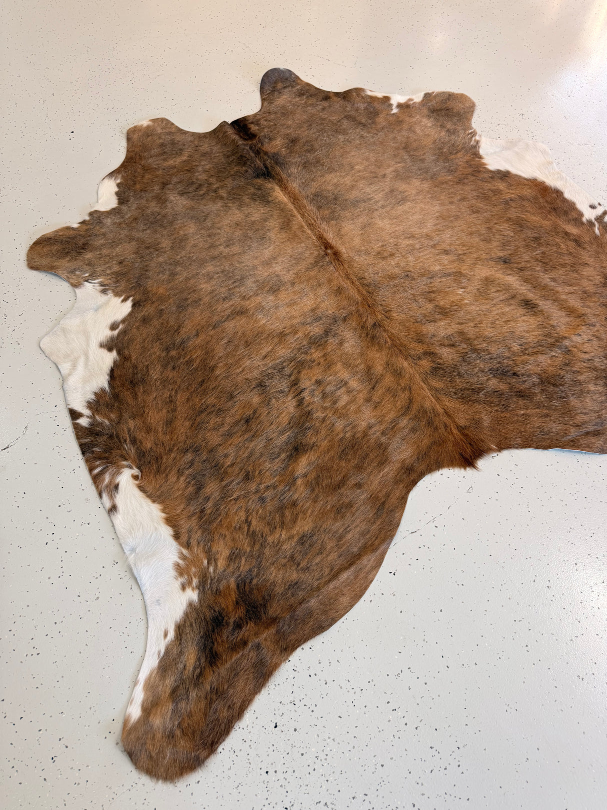 Genuine Cowhide Floor Rug 1189