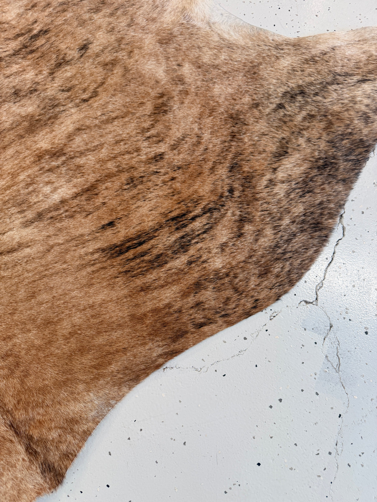 Genuine Cowhide Floor Rug 1239