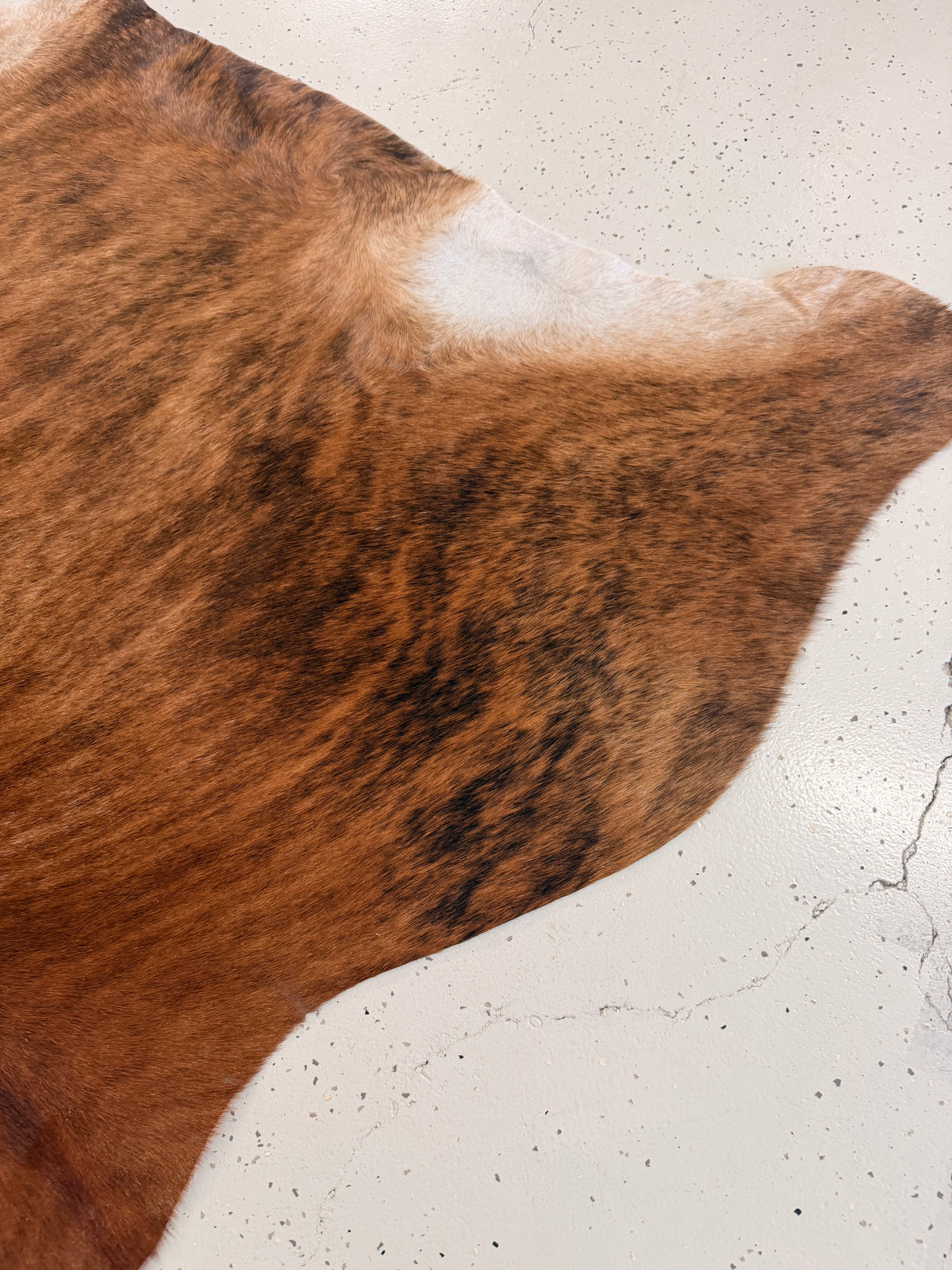 Genuine Cowhide Floor Rug 1240