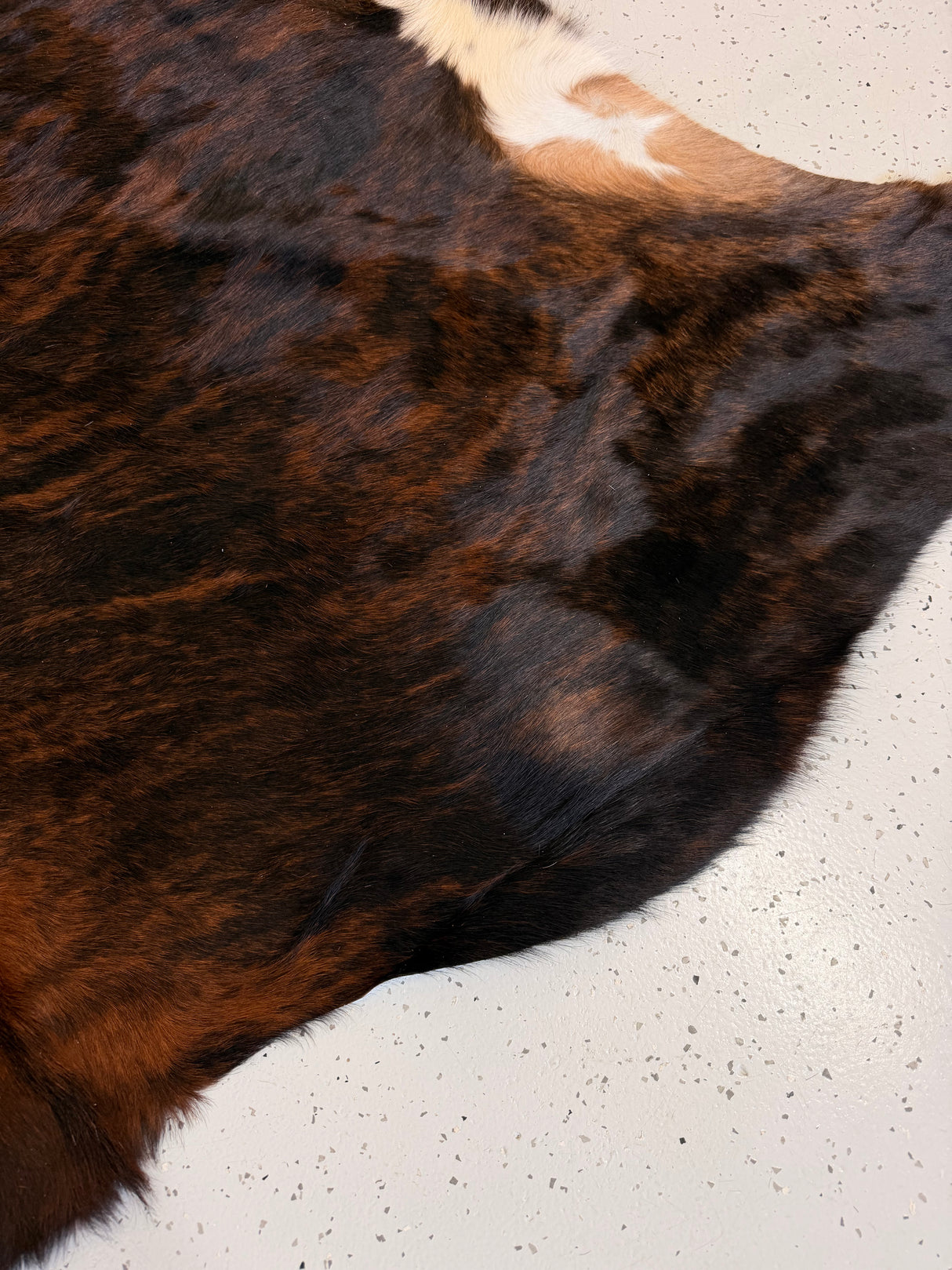 Genuine Cowhide Floor Rug 1190