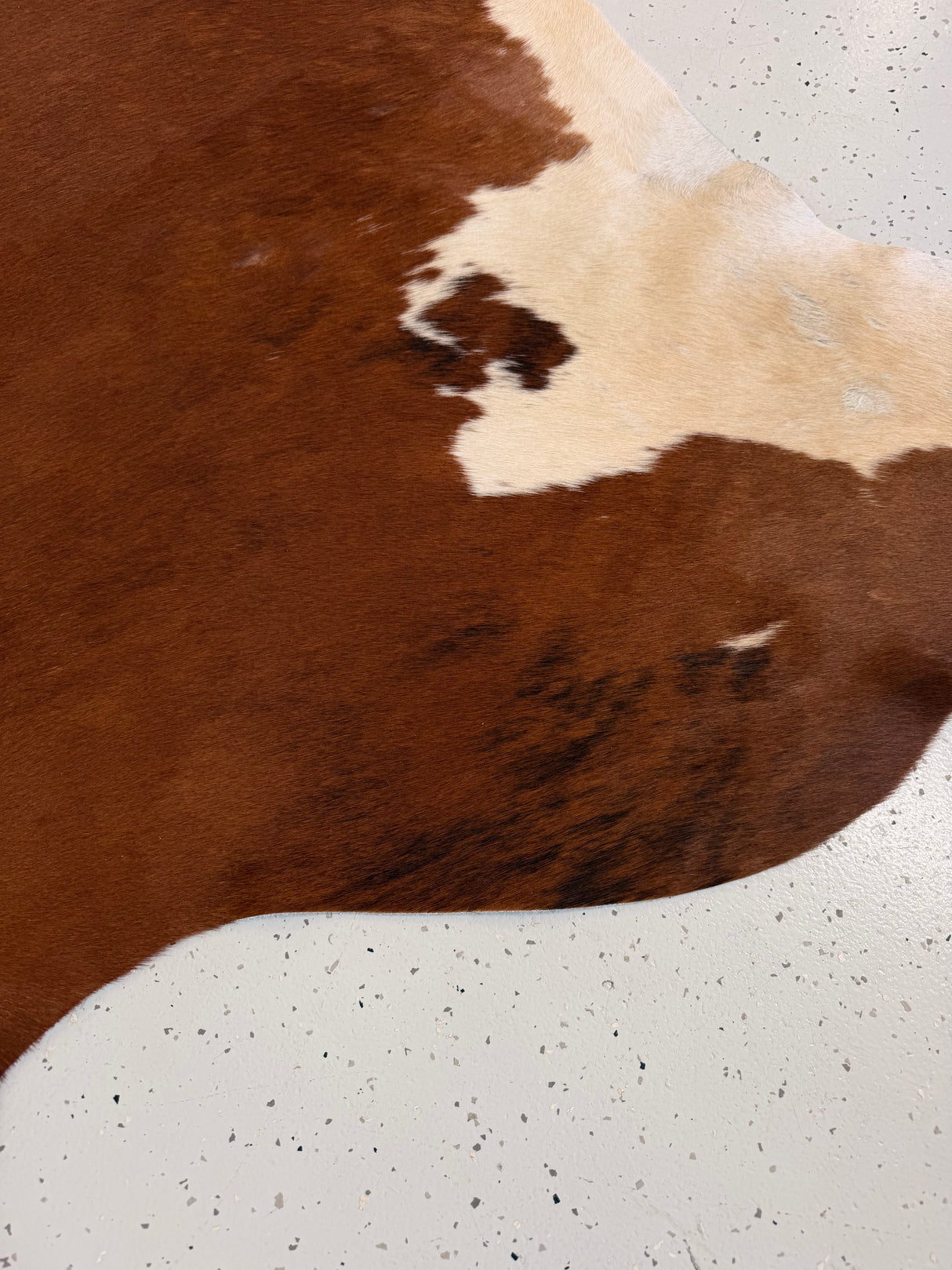 Genuine Cowhide Floor Rug 1191