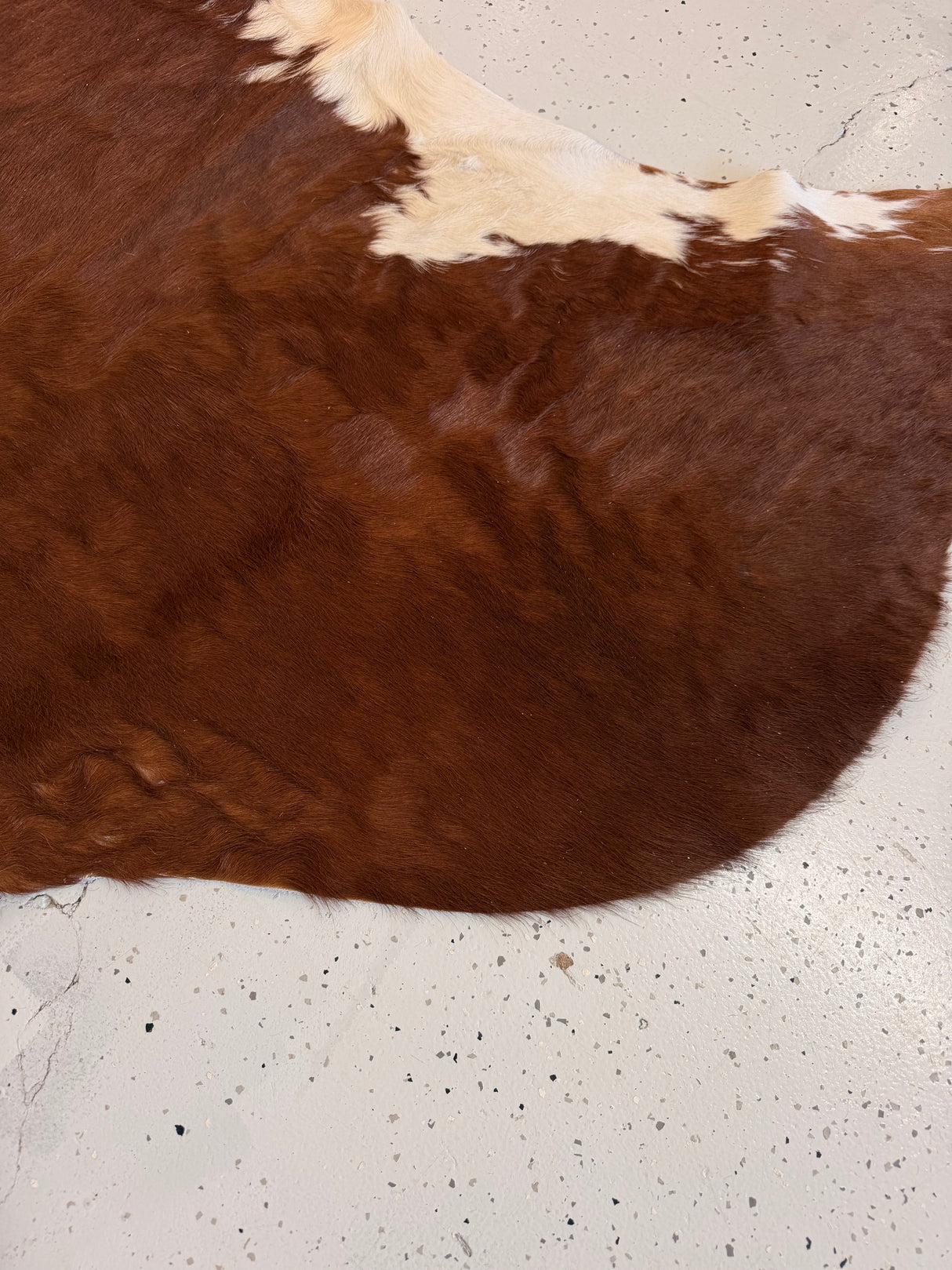 Genuine Cowhide Floor Rug 1192