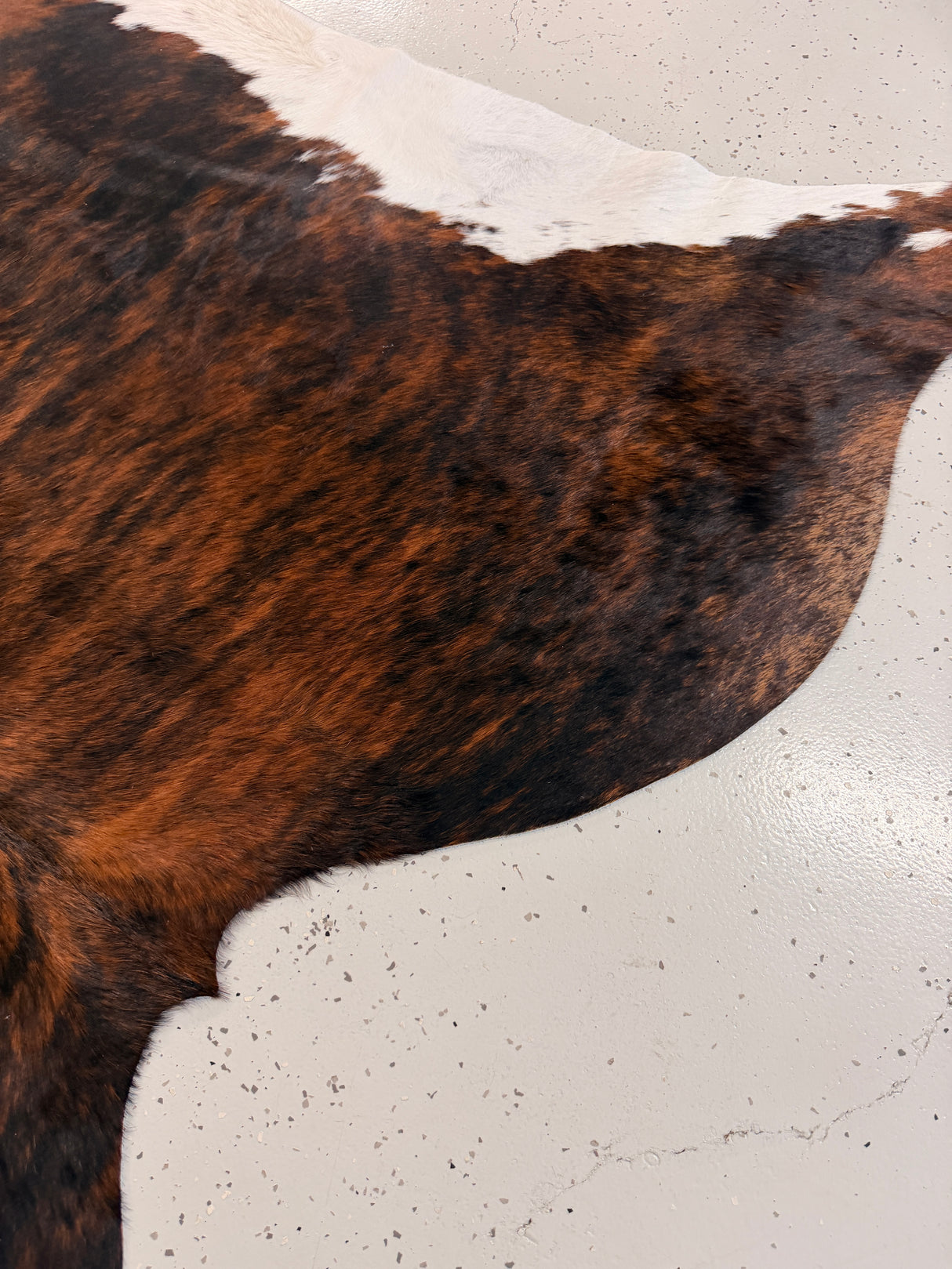 Genuine Cowhide Floor Rug 1243