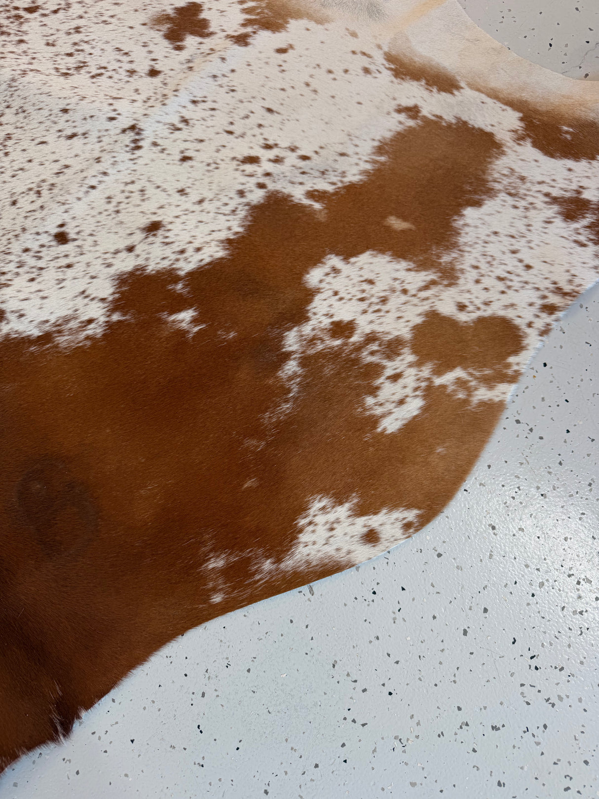 Genuine Cowhide Floor Rug 1193