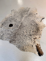 Genuine Cowhide Floor Rug 1196