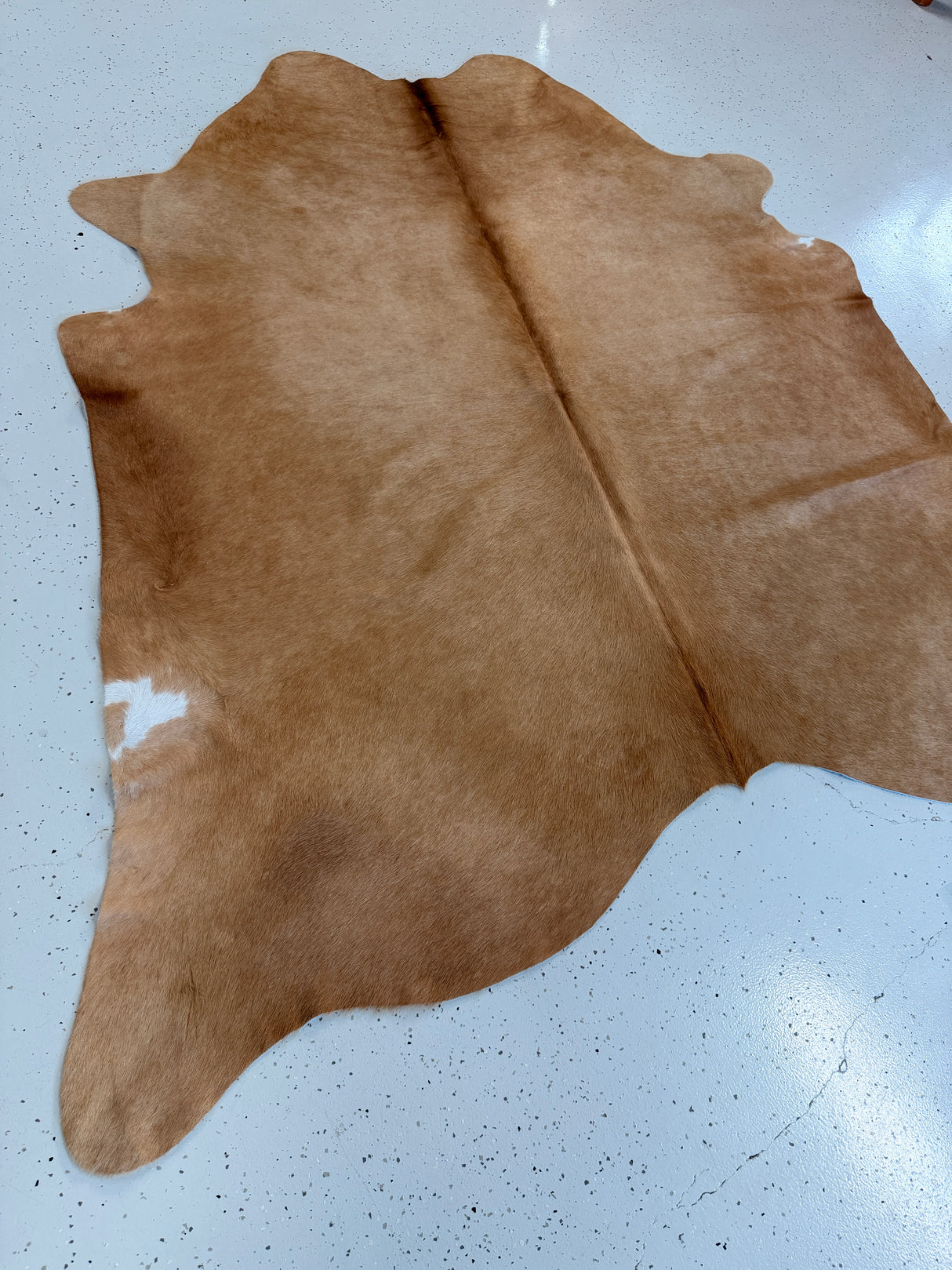 Genuine Cowhide Floor Rug 1246