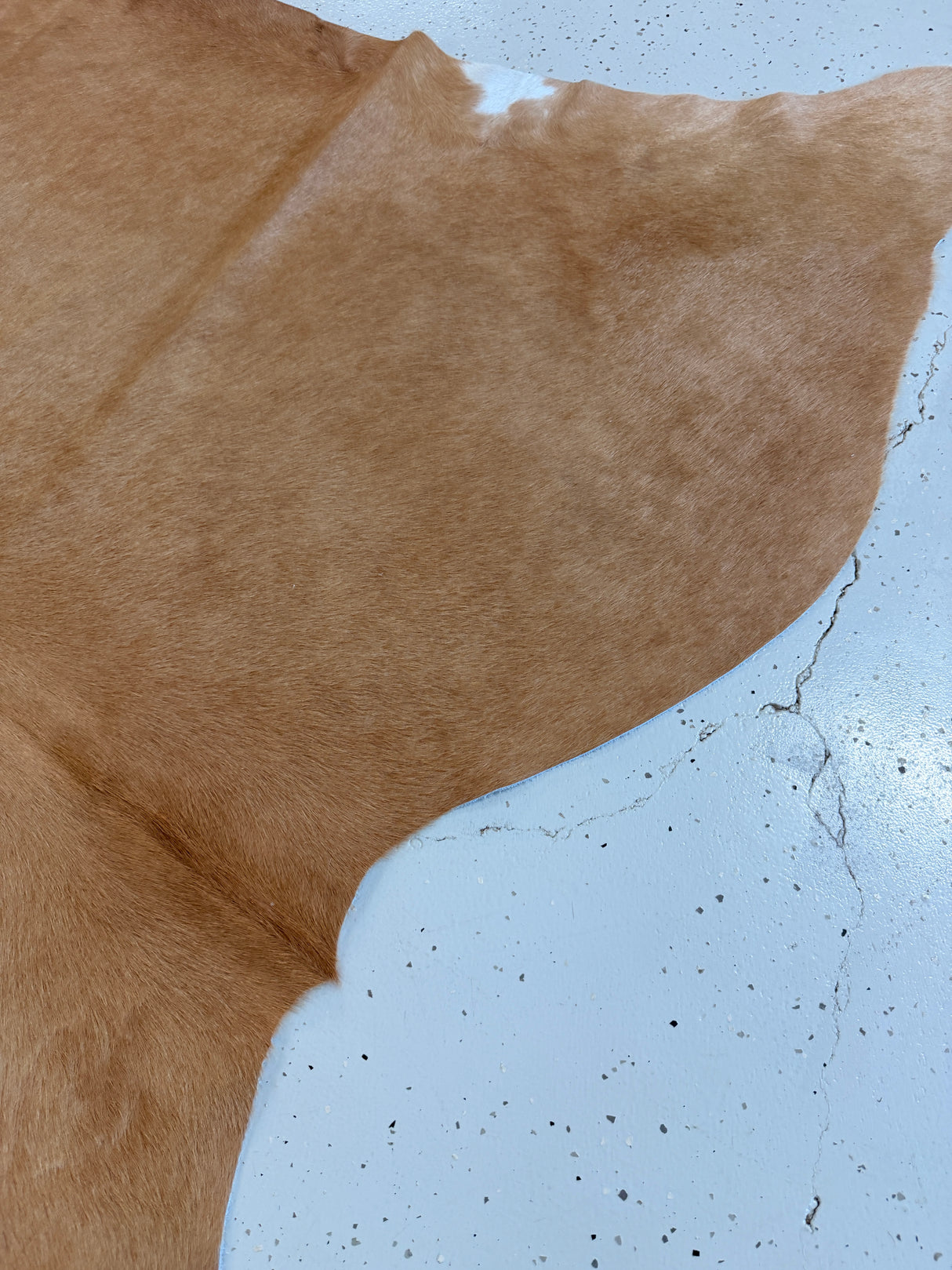 Genuine Cowhide Floor Rug 1246