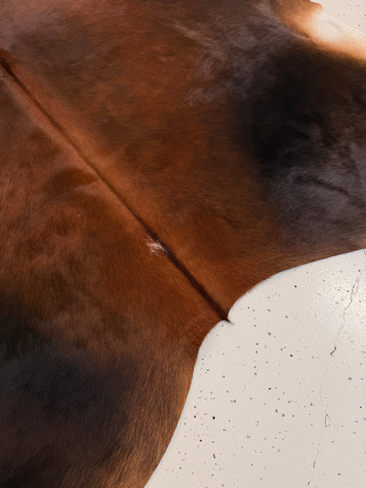Genuine Cowhide Floor Rug 1247