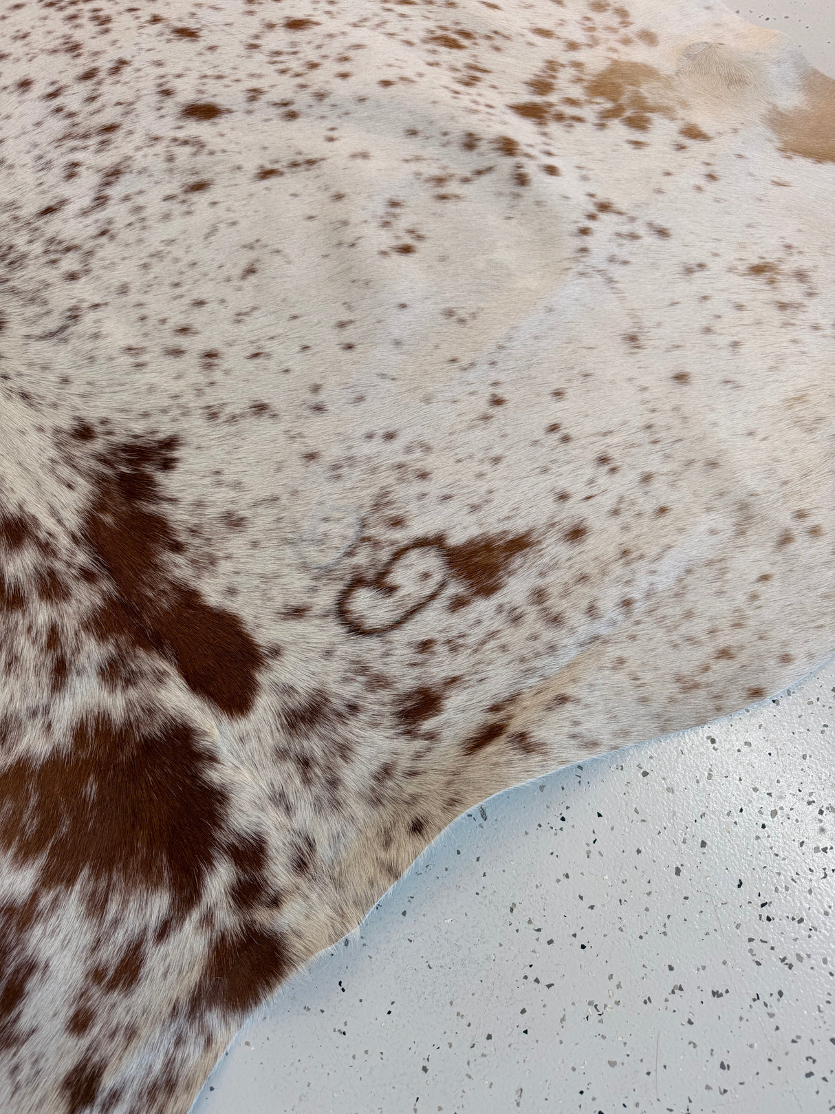 Genuine Cowhide Floor Rug 1199