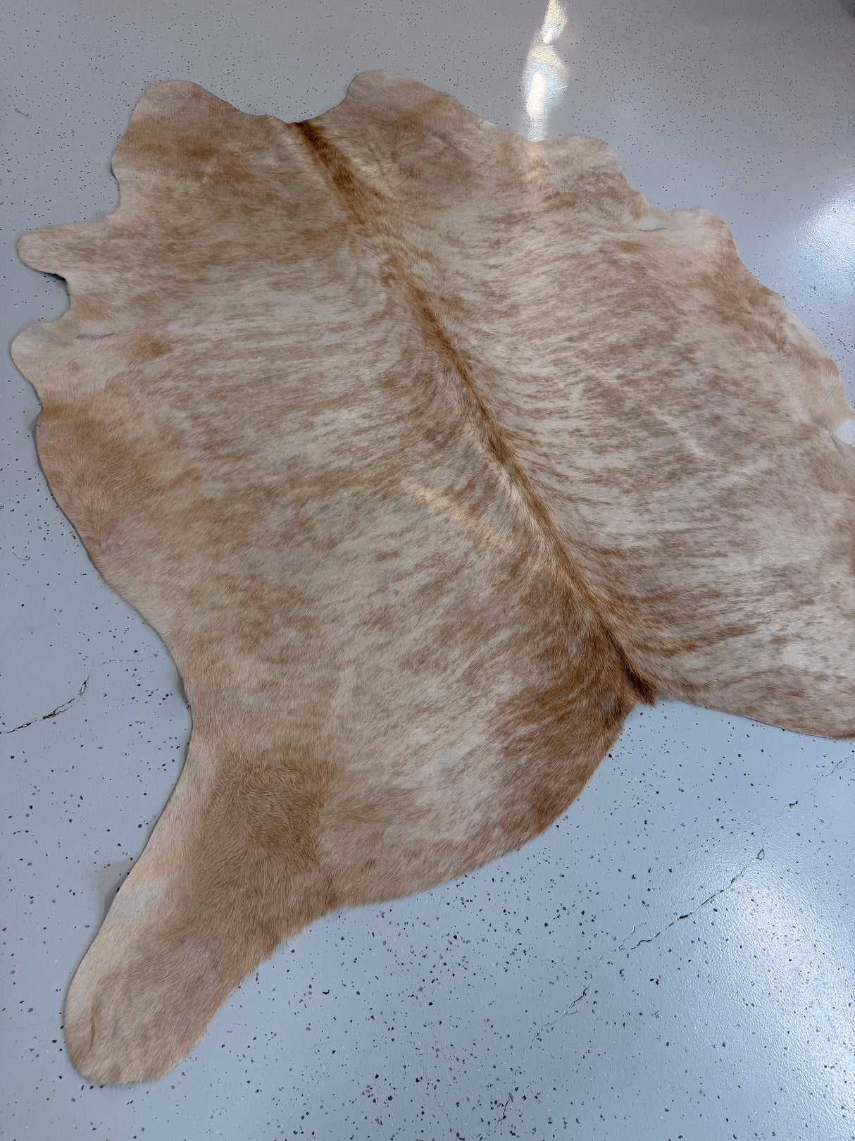 Genuine Cowhide Floor Rug 1249