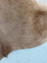 Genuine Cowhide Floor Rug 1206