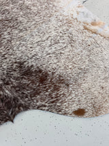 Genuine Cowhide Floor Rug 1207