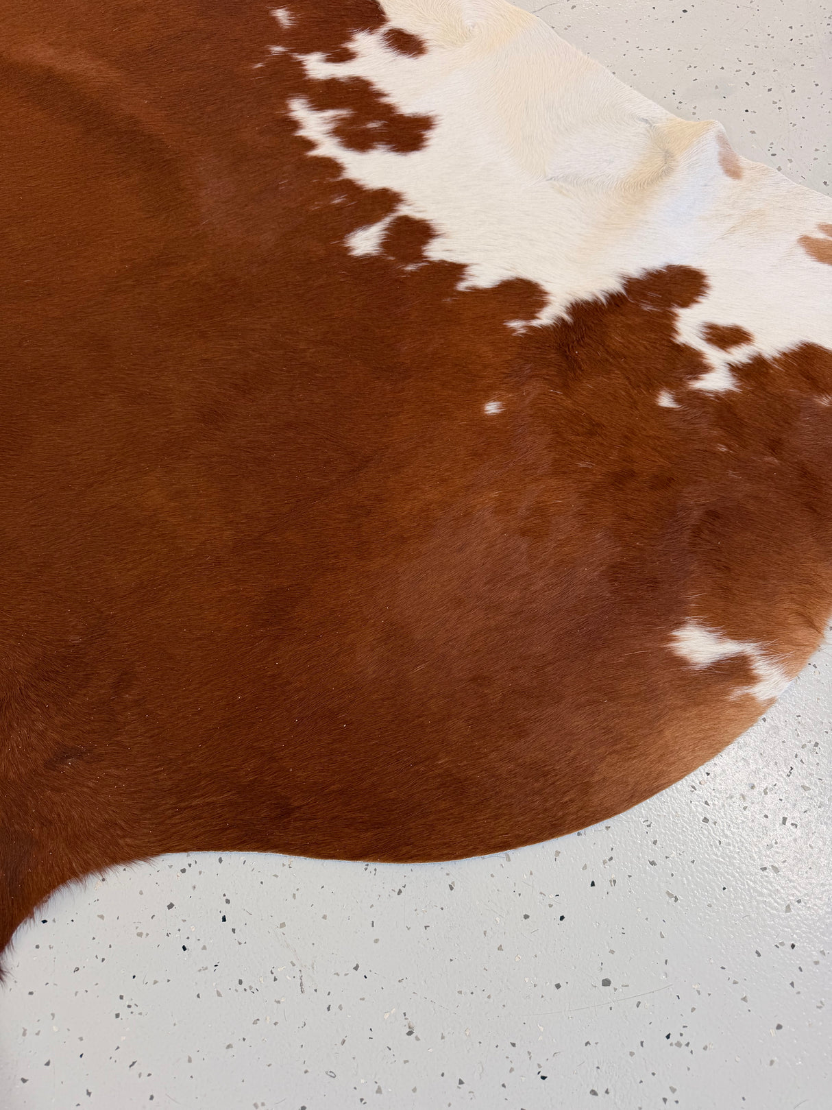 Genuine Cowhide Floor Rug 1212