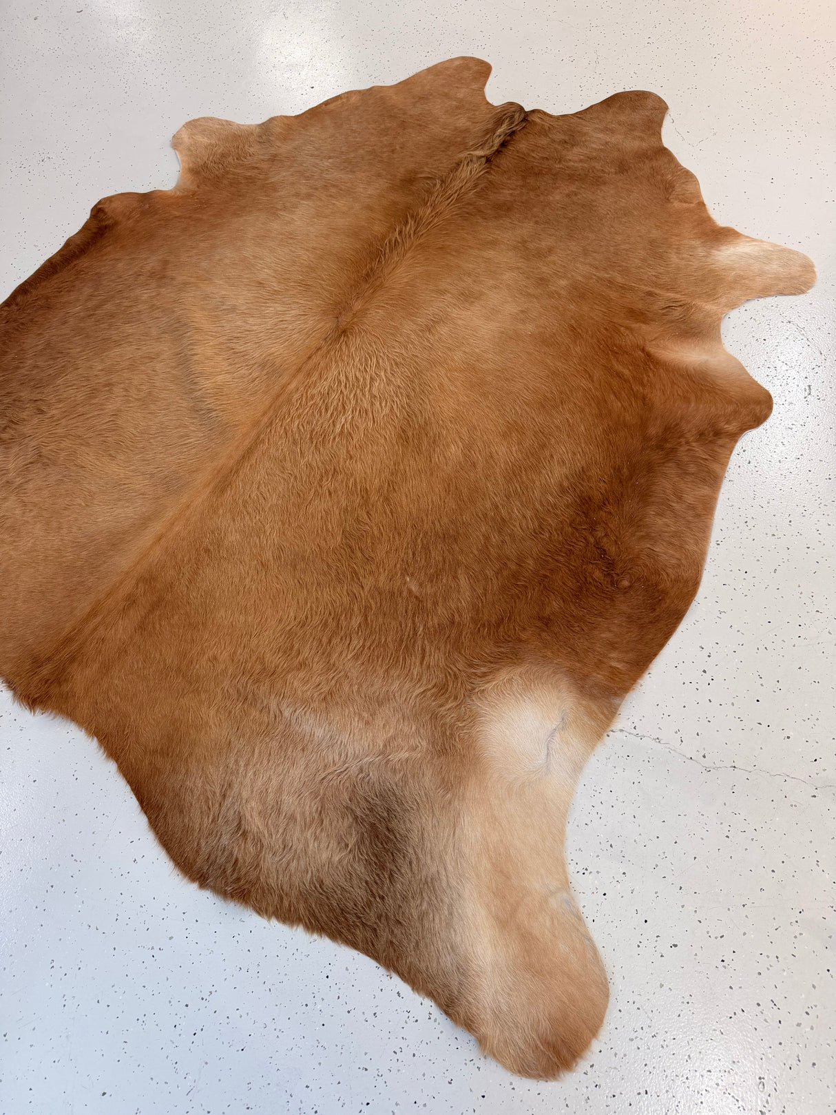 Genuine Cowhide Floor Rug 1218