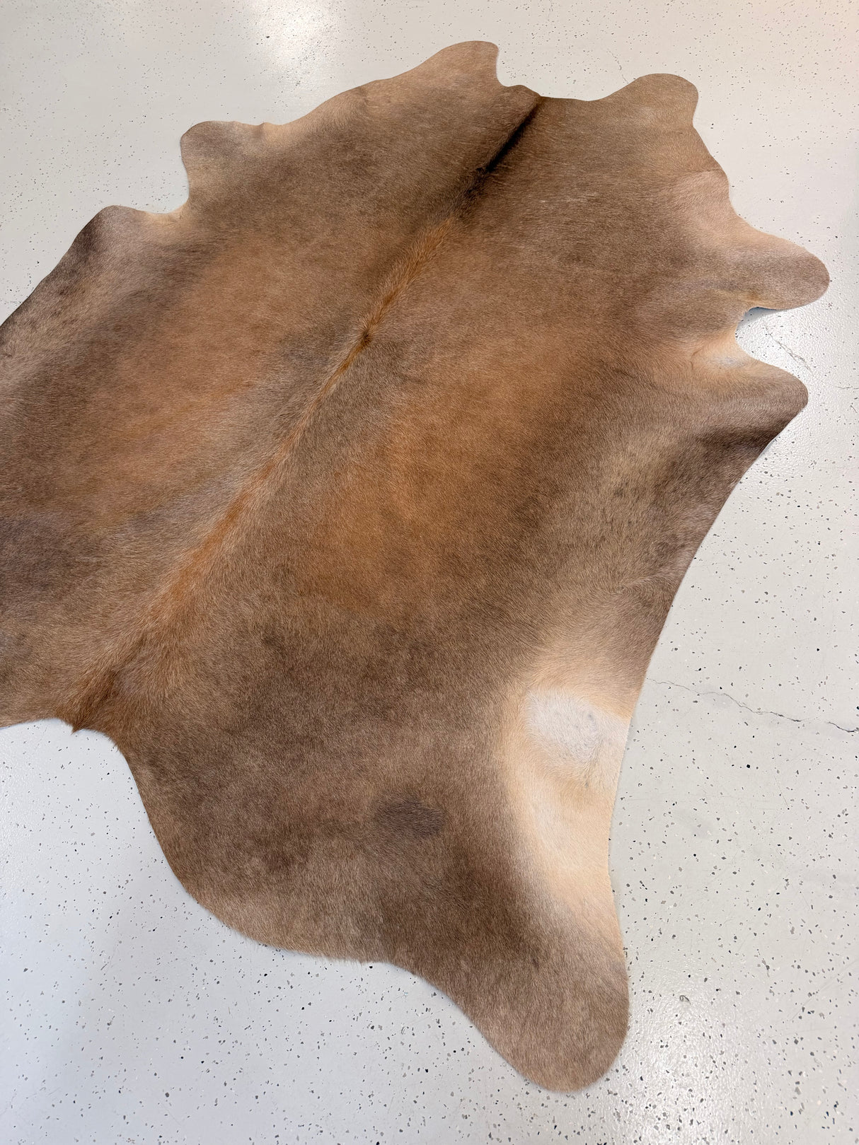 Genuine Cowhide Floor Rug 1219