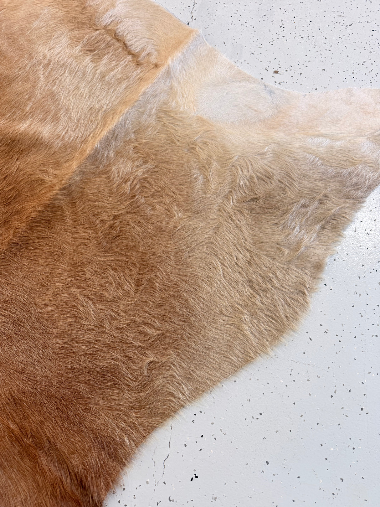 Genuine Cowhide Floor Rug 1221