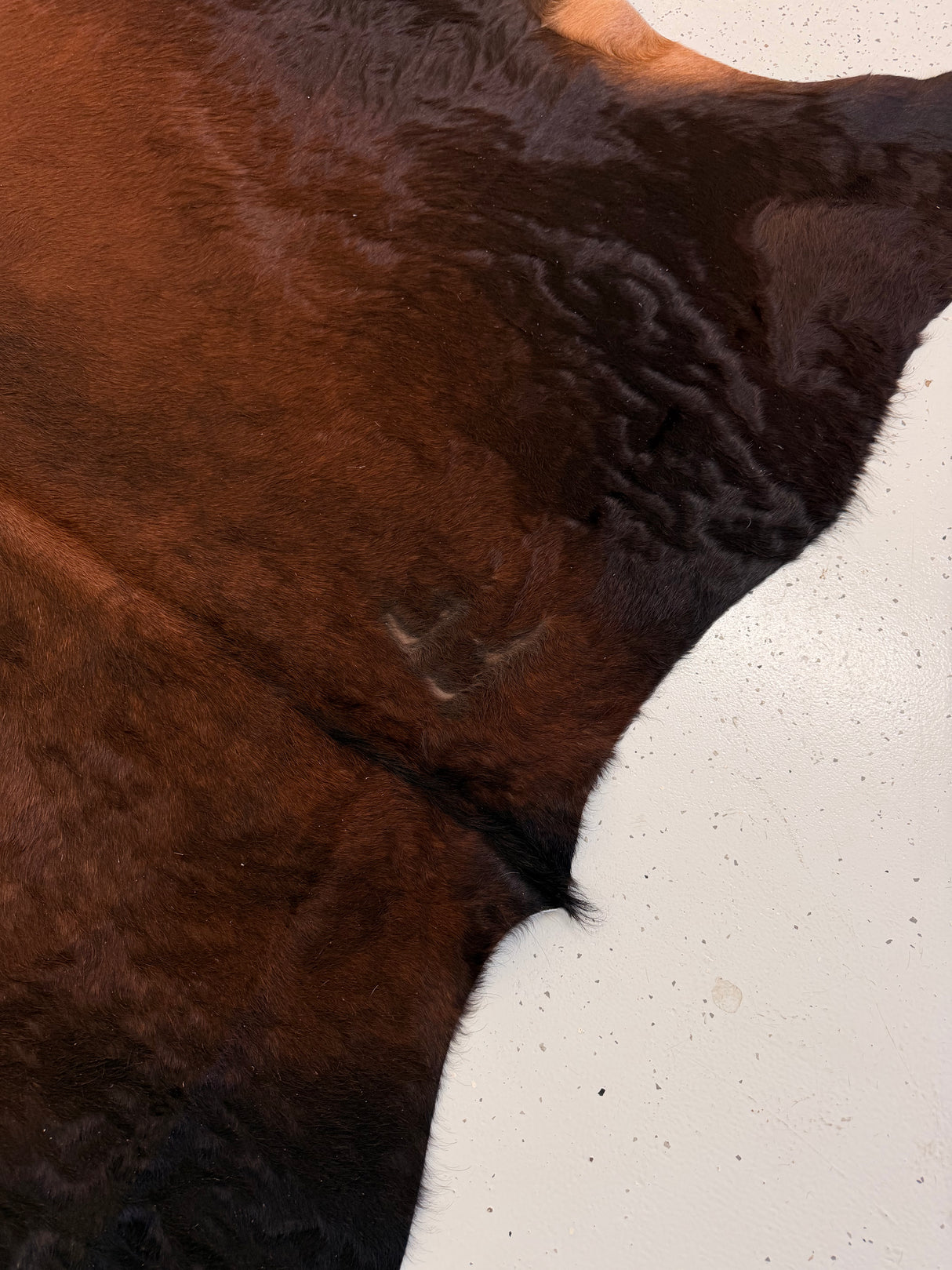 Genuine Cowhide Floor Rug 1225