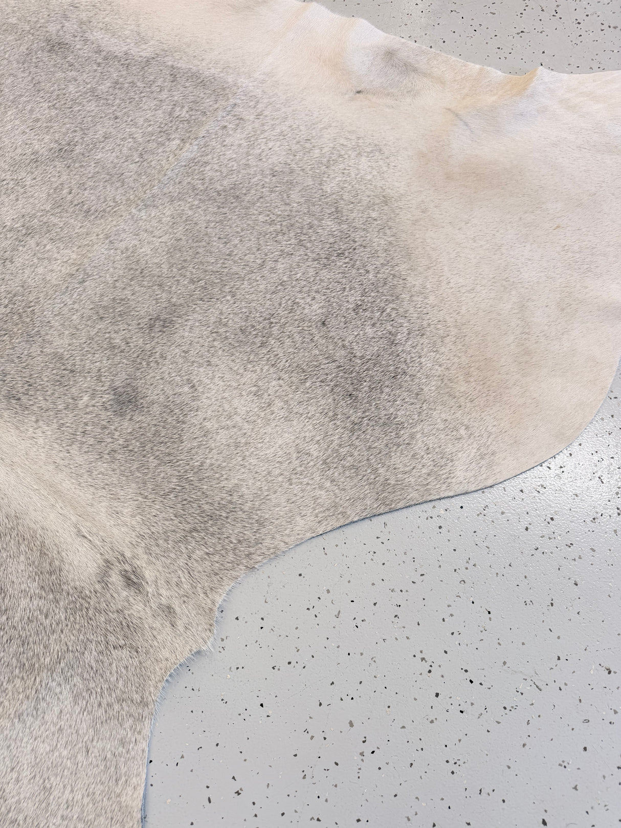 Genuine Cowhide Floor Rug 1226