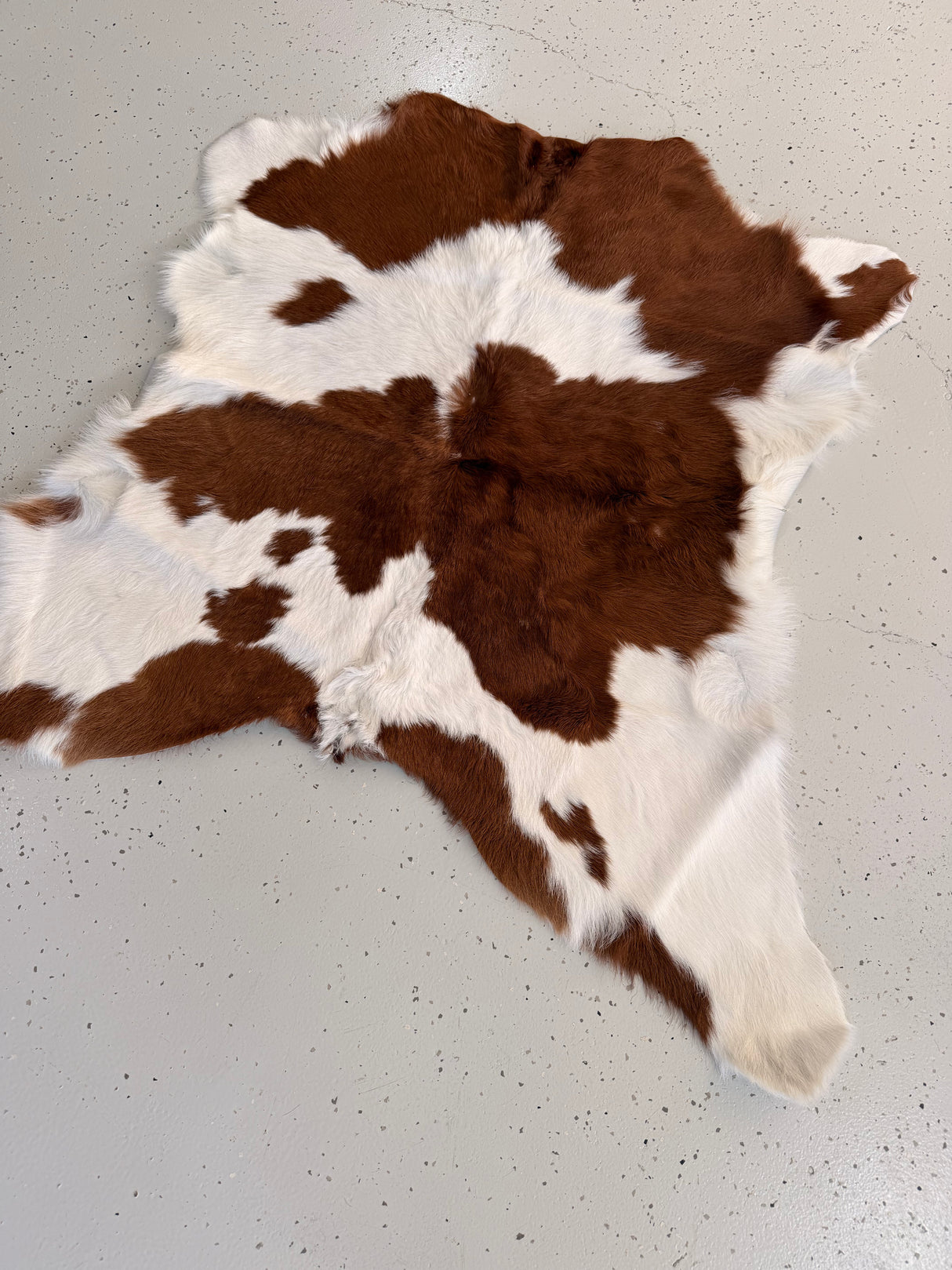 Calf Hide Floor Rug 002