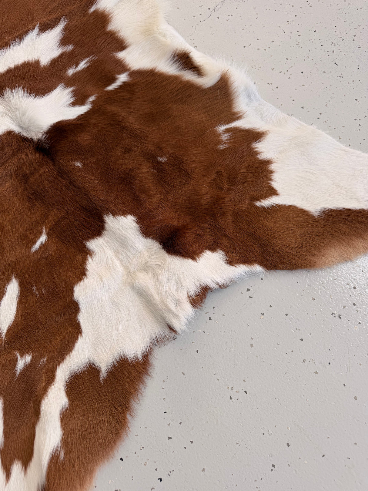 Calf Hide Floor Rug 004