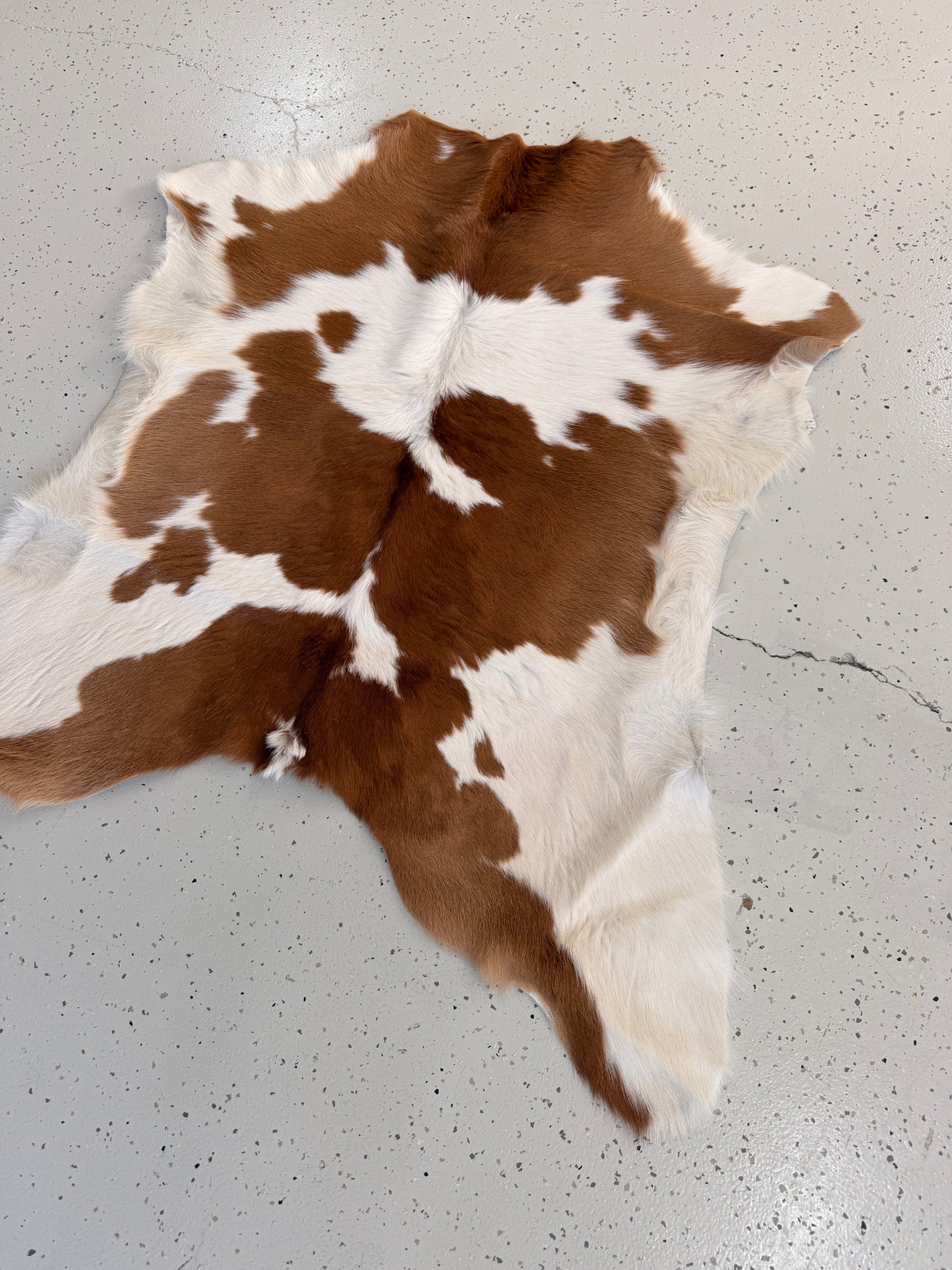 Calf Hide Floor Rug 005