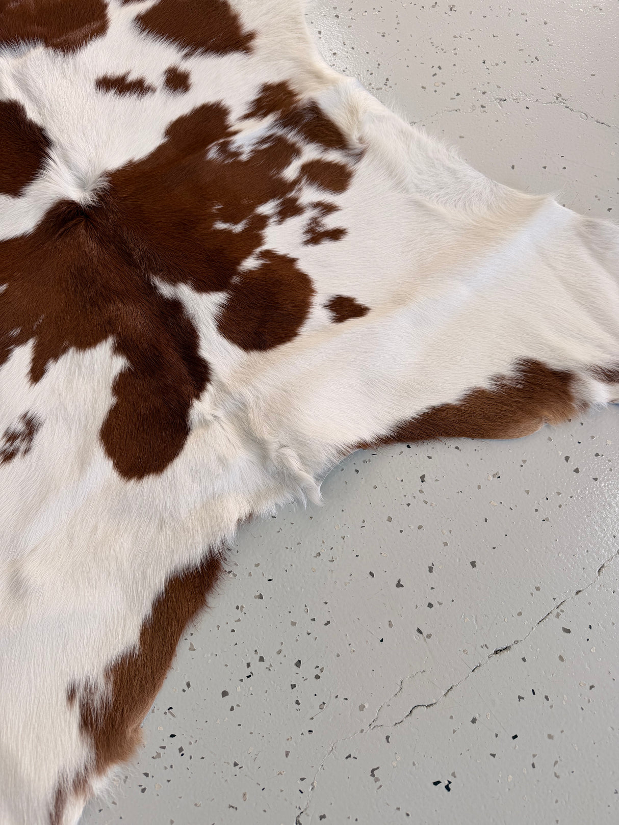 Calf Hide Floor Rug 006